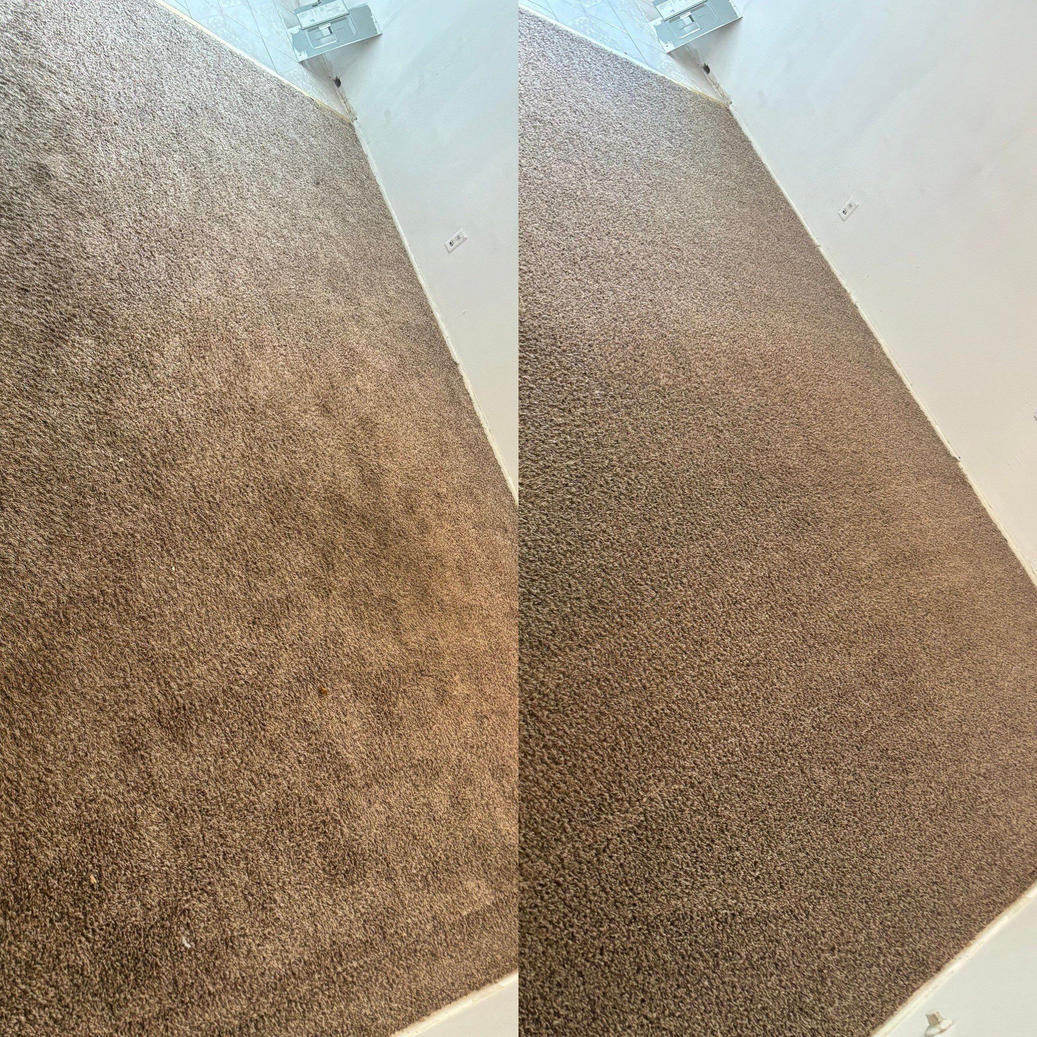 the service shown is carpet cleaning that removes dirt and stains from the carpet leaving it fresh and clean