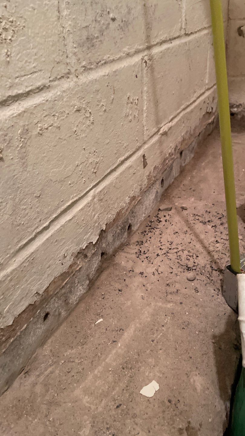 Well Room Waterproofing for Charlie by Waterproofing Northeast