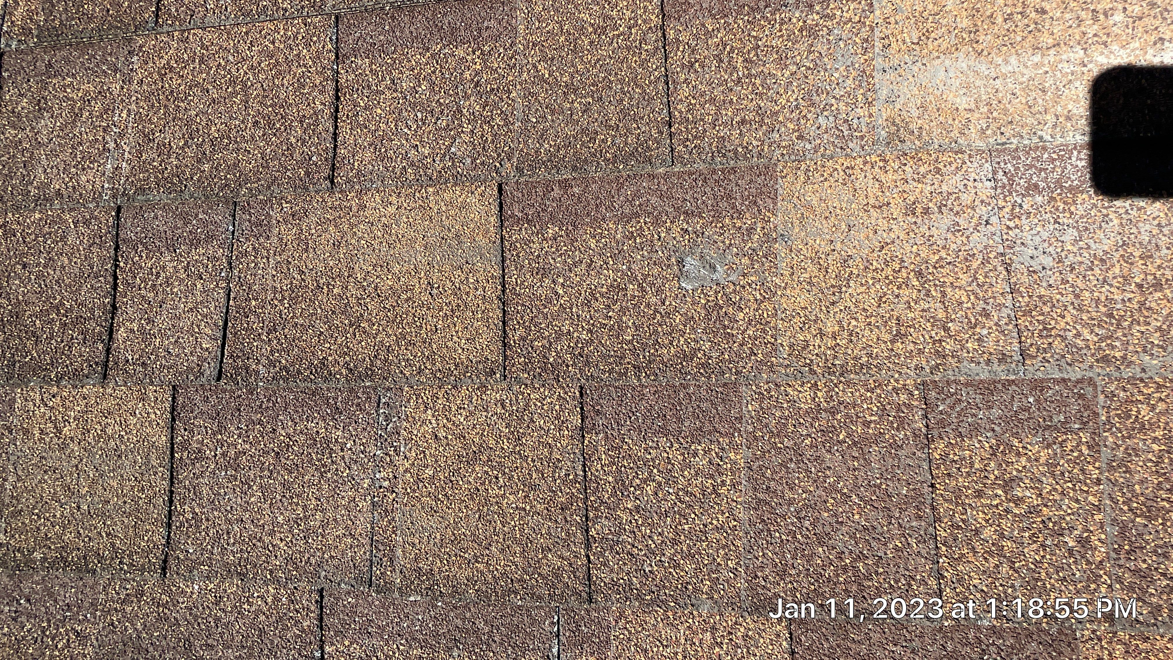 Residential Shingle Reroof using Malarkey Highlander NEX by Hostetler Roofing