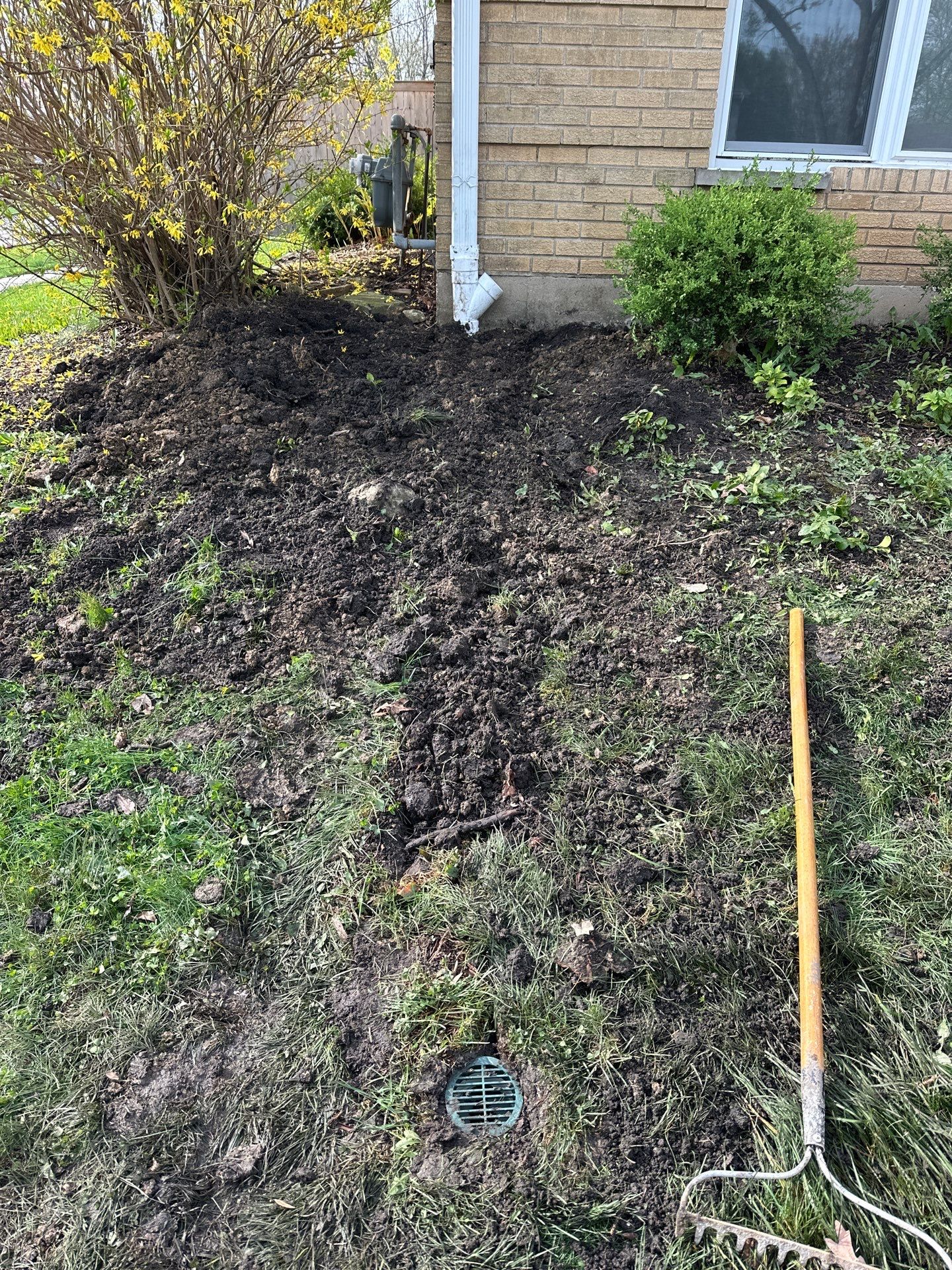 Justin L. - Mount Prospect, IL by A&N 