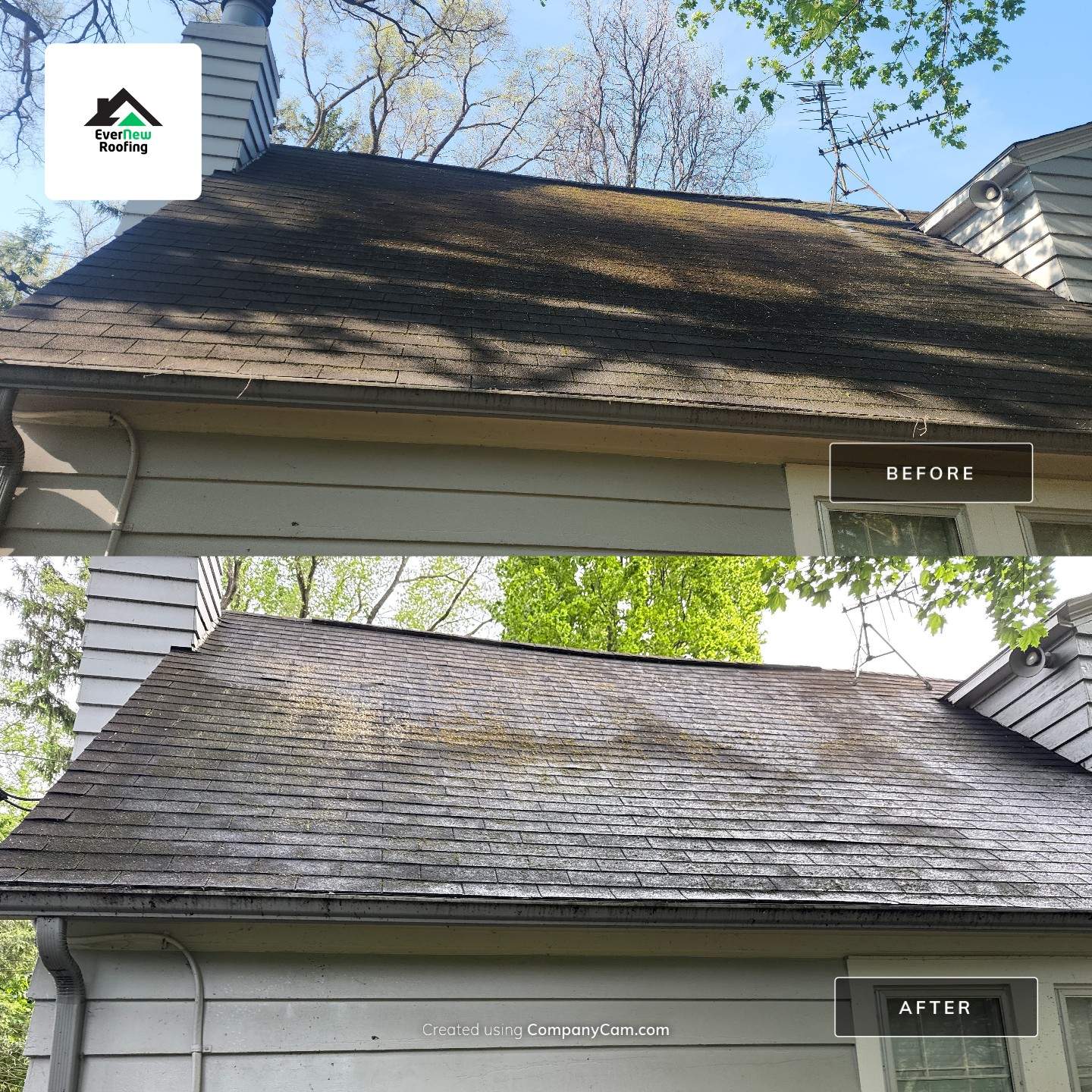 Roof Rejuvenation in Bloomfield Hills by EverNew Roofing 