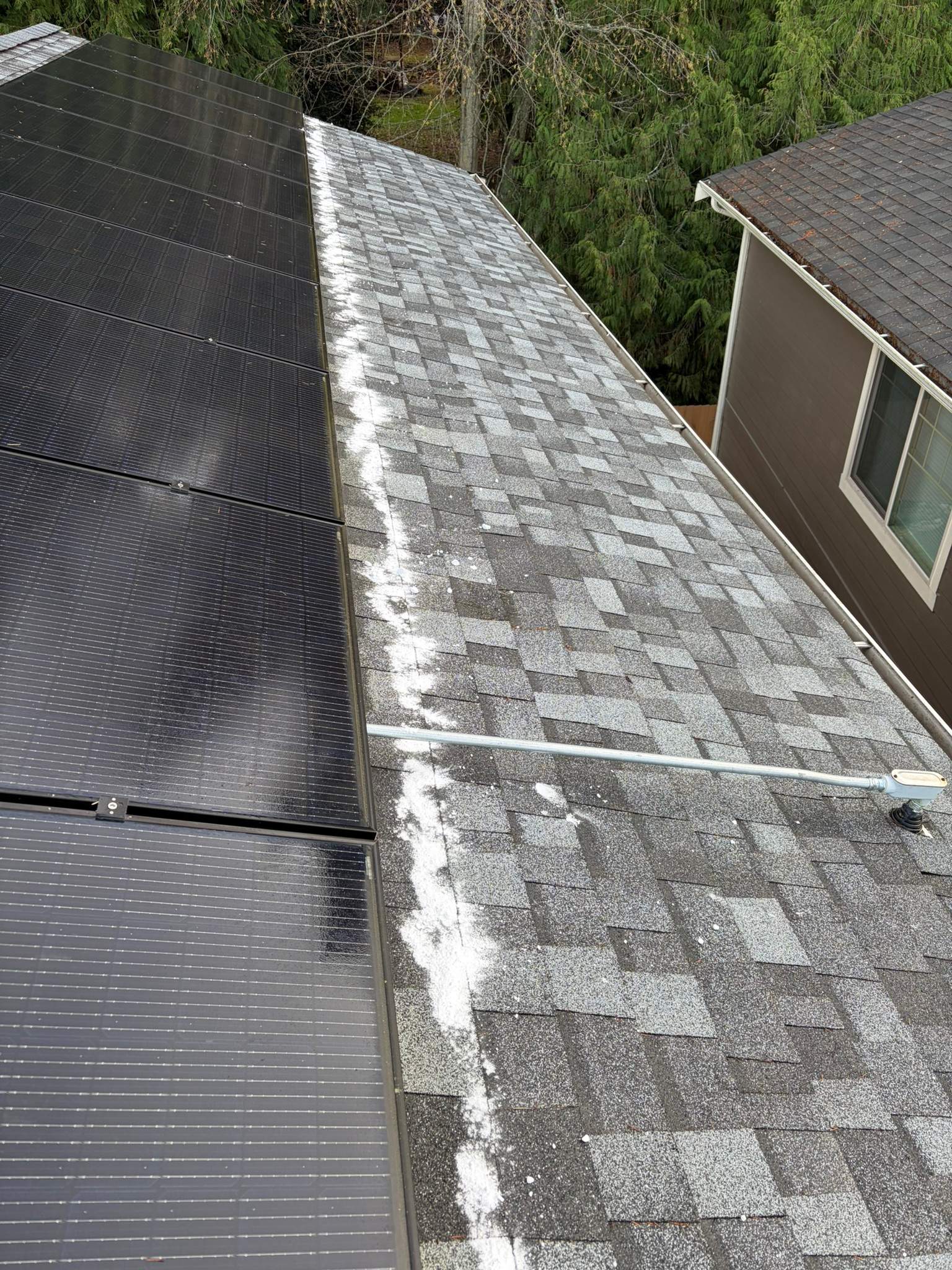 Residential Roof Cleaning in Poulsbo, WA by Hanley Construction