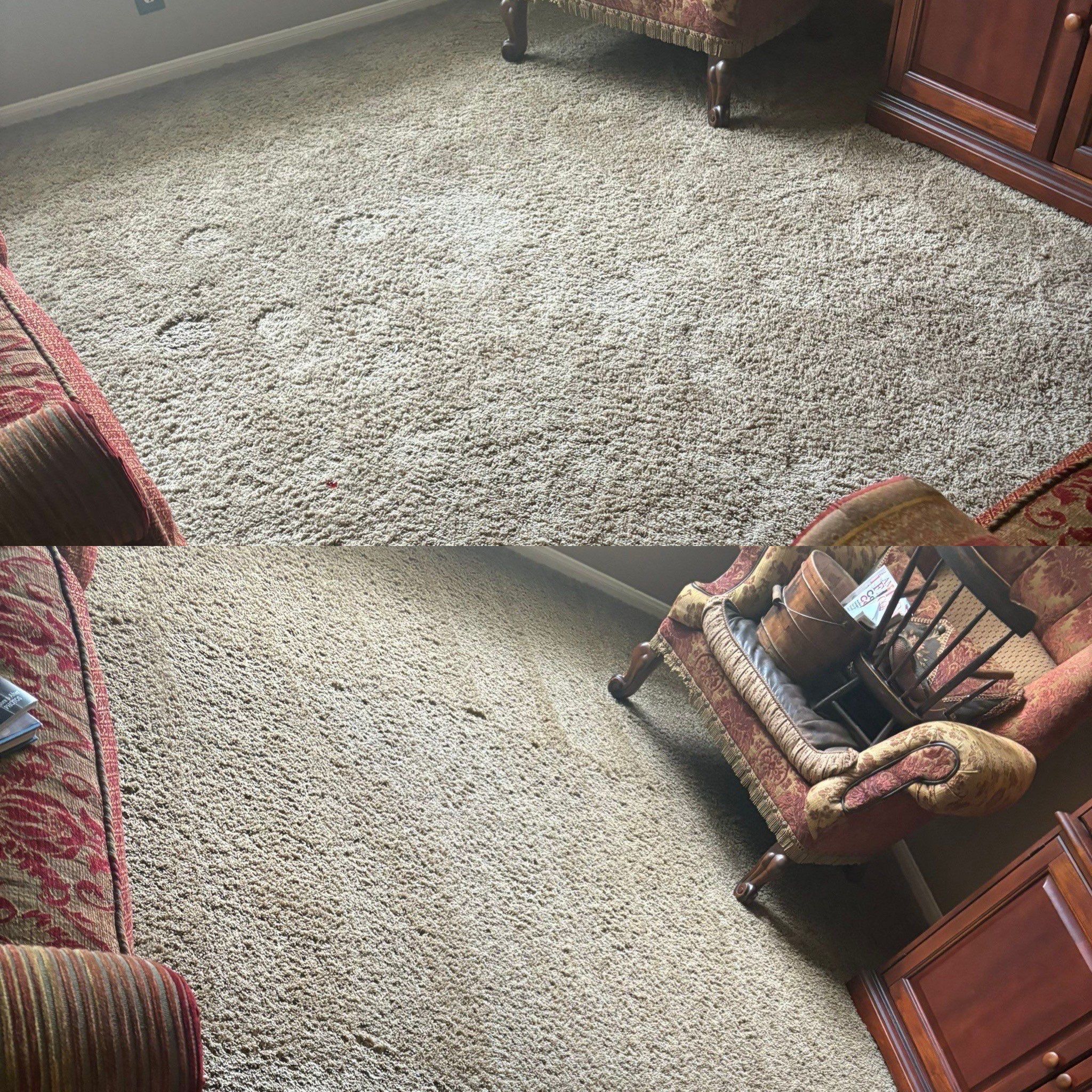 the service shown is carpet cleaning removing stains and dirt from the floor covering in a living room setting