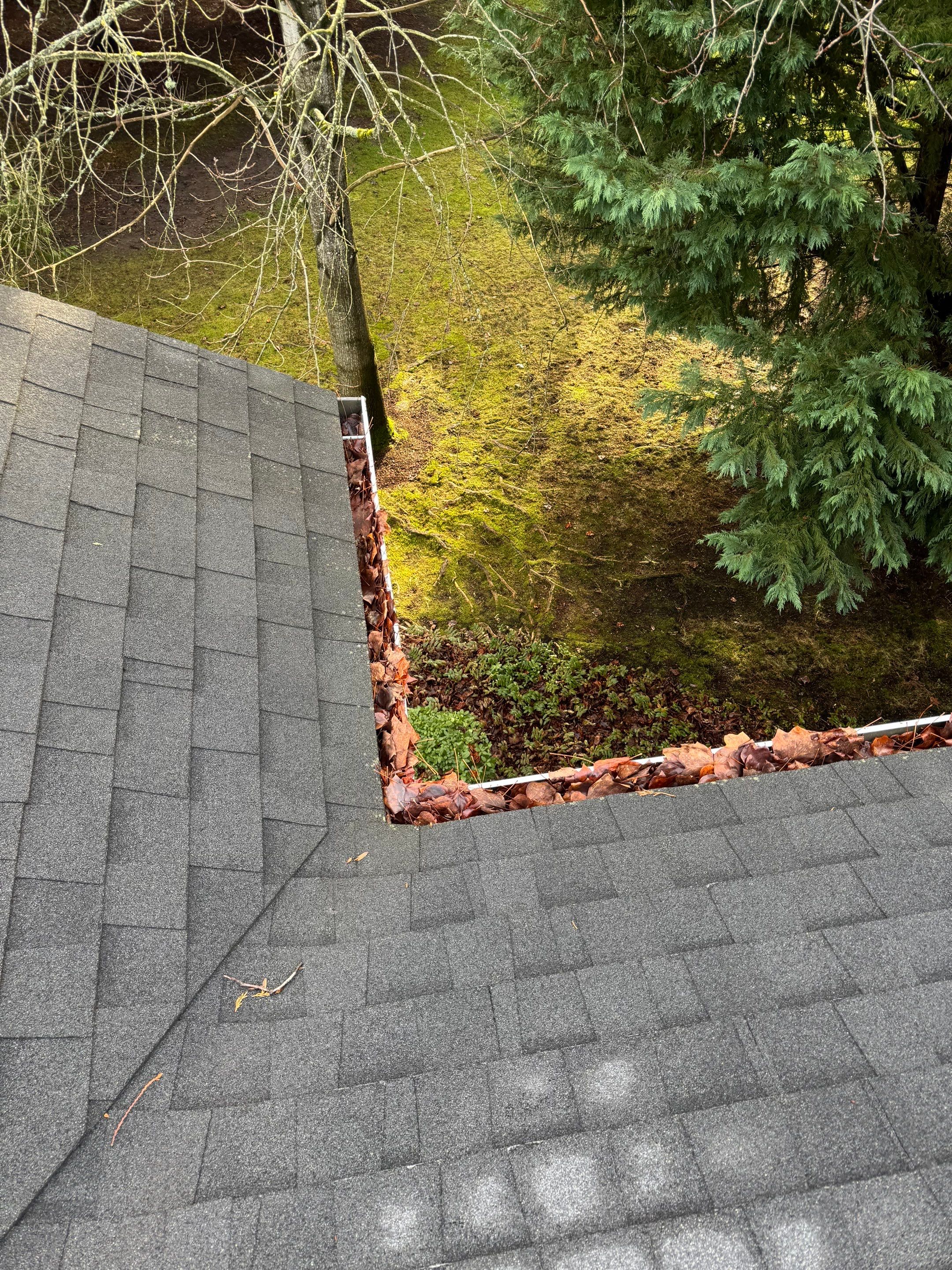 Commercial gutter cleaning vancouver before photo with filled gutters
