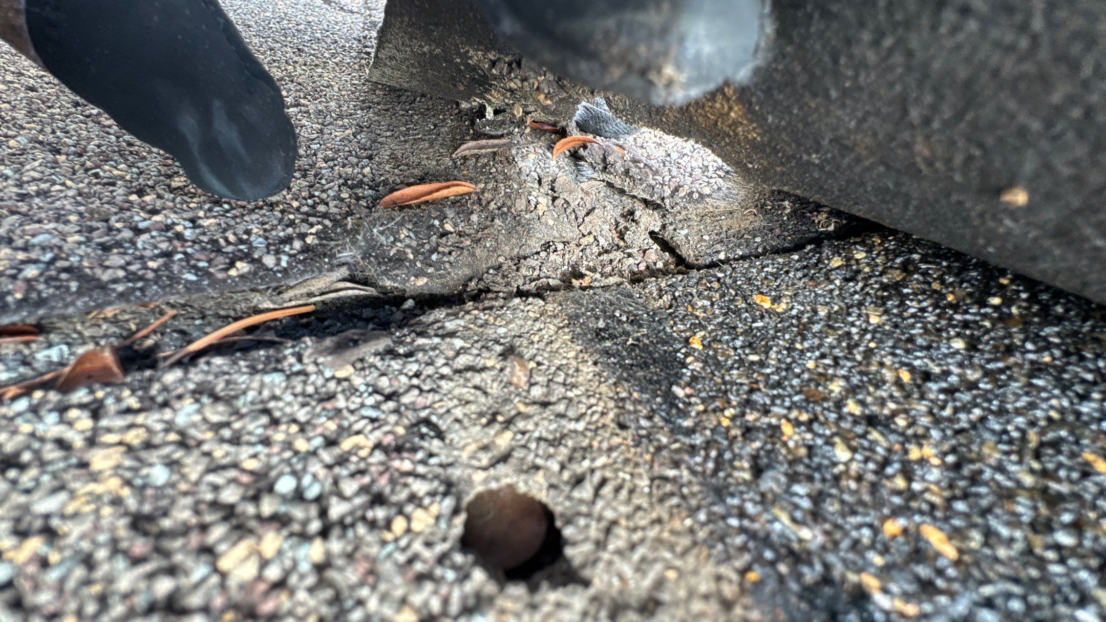 Roof Replacement using Owens Corning Driftwood by 180 Contractors