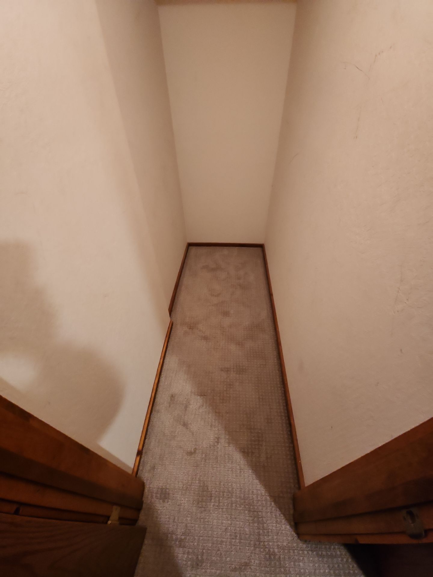 Bathrooms/Doors by The Tahoe Tradesman