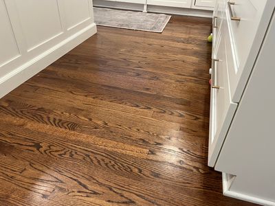 Water Mitigation in Prospect, KY