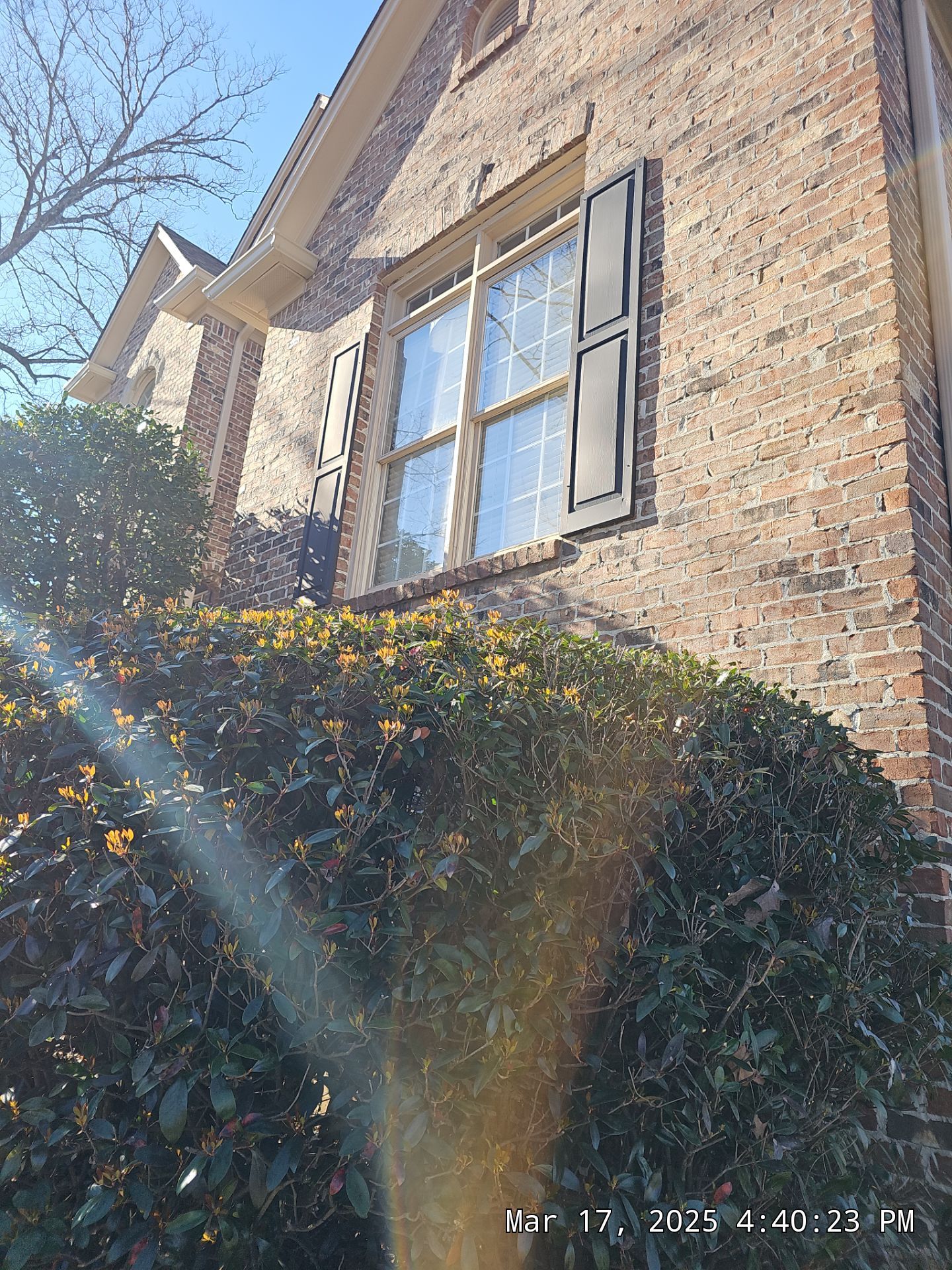 Dew Project in Hoover by The Window Source