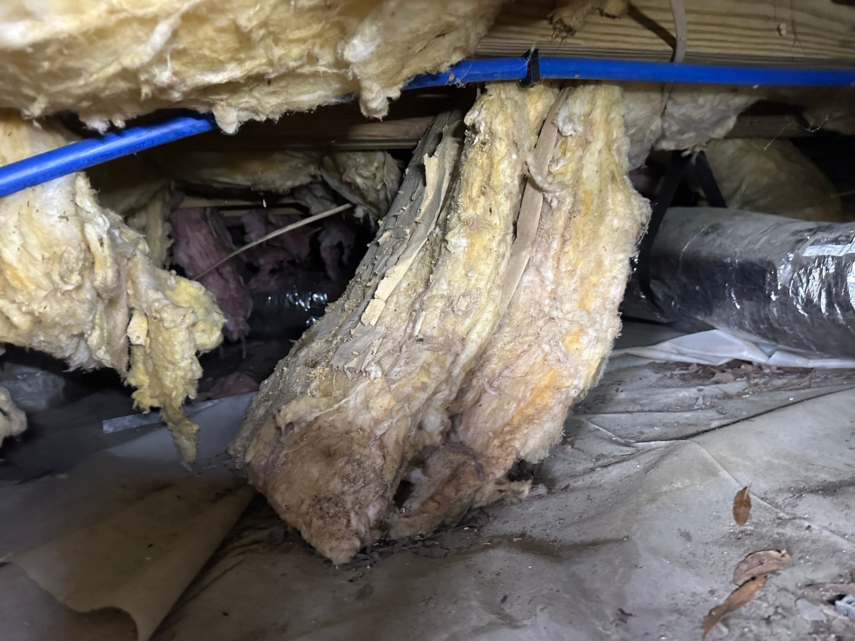 Impact Choice Encapsulation on a low crawlspace. by Impact Crawlspace