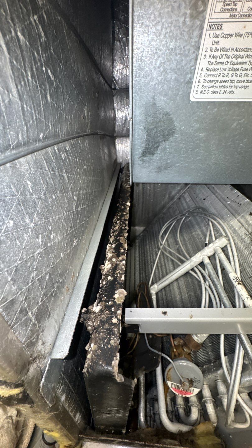 Air Duct Cleaning in Groveland by Hygienic Air, Inc