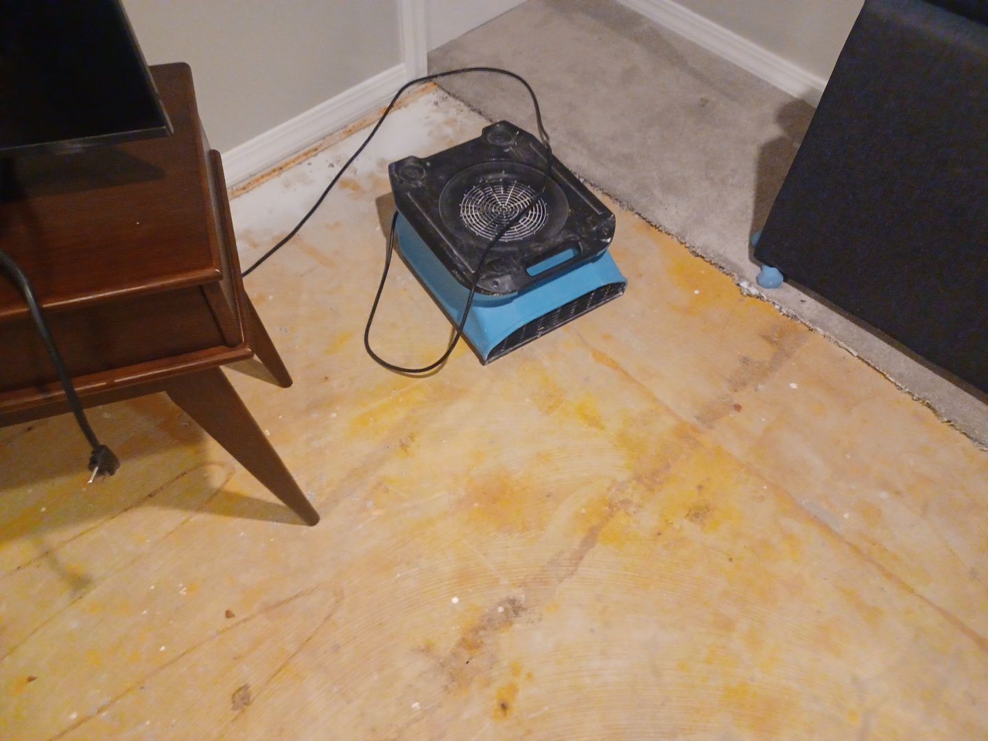 Project in West Bloomfield by EzDry Water Mitigation & Property Restoration