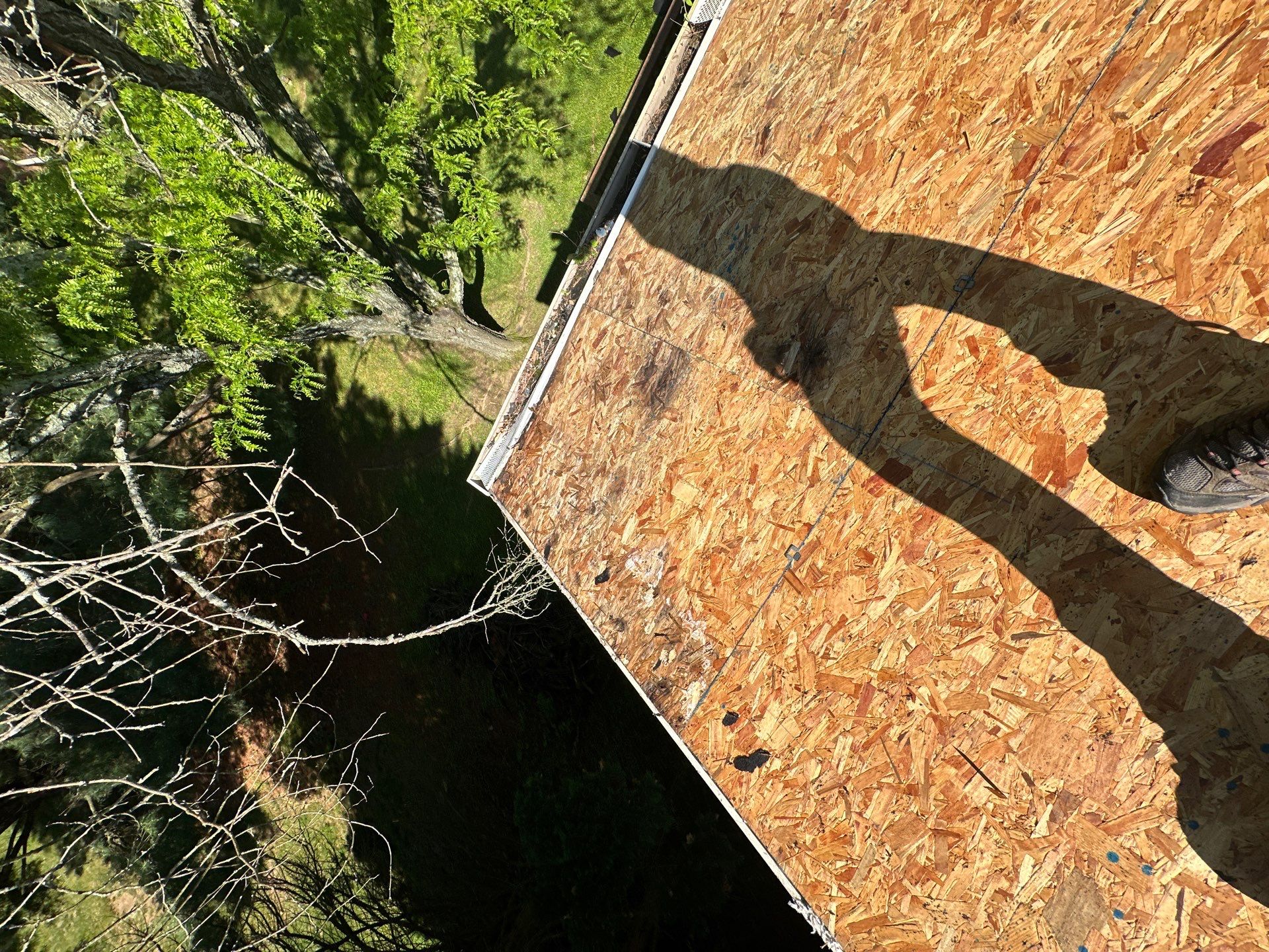 Designer Shingle Roof Replacement in Baltimore, MD • Susan S. by Seipp Roofing, LLC