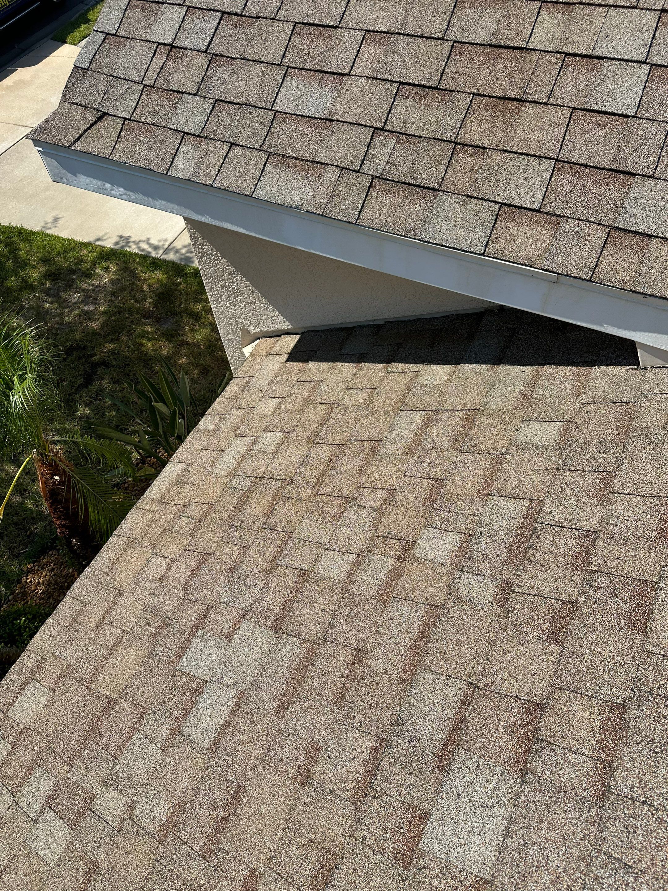 Asphalt Shingle Roof Soft Wash Cleaning & Concrete Pressure Washing in CopperStone Community, Parrish, FL by Sunshine AquaWash