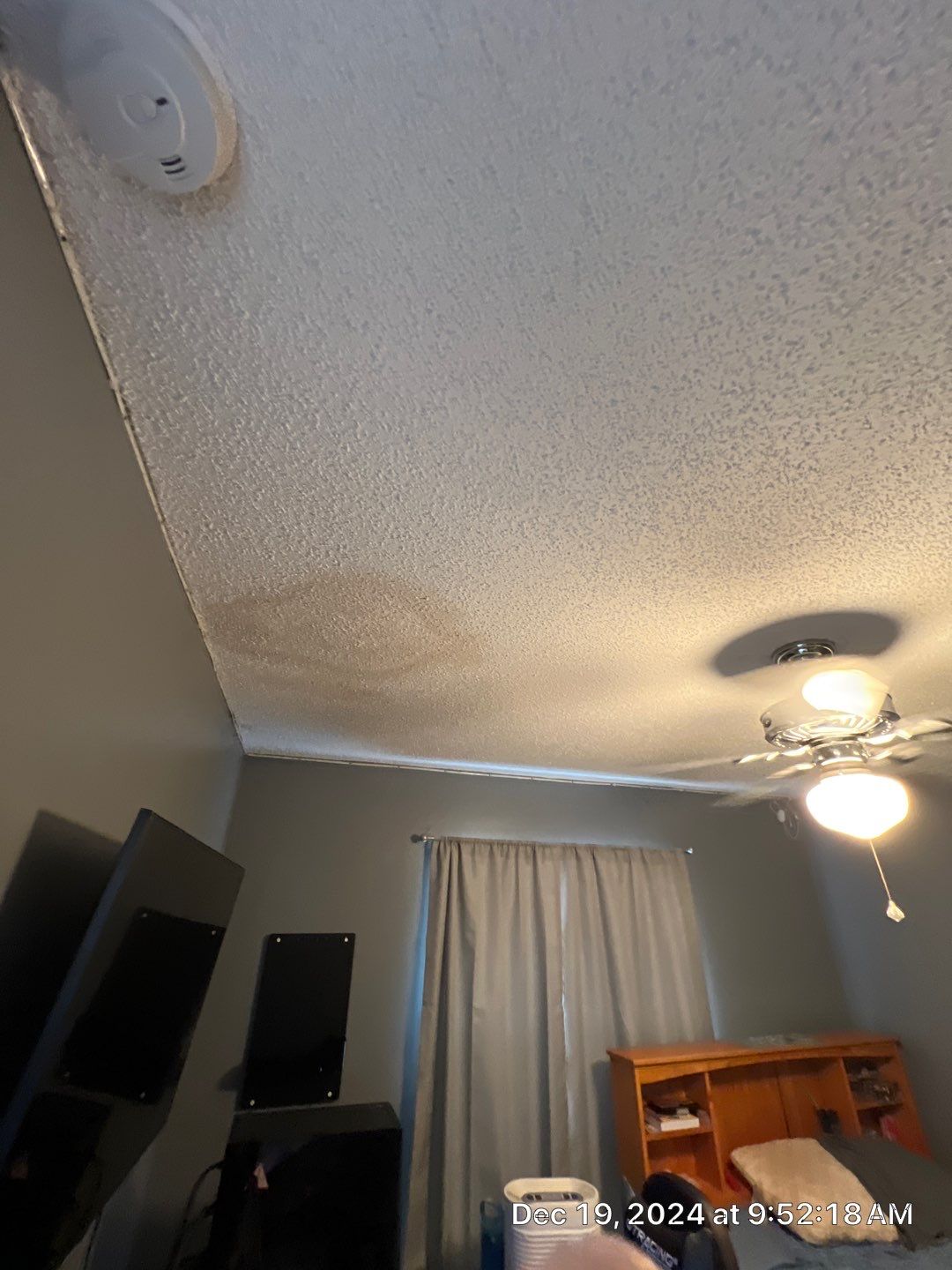 Pebble Springs Water Mold by Ampm Restoration Services