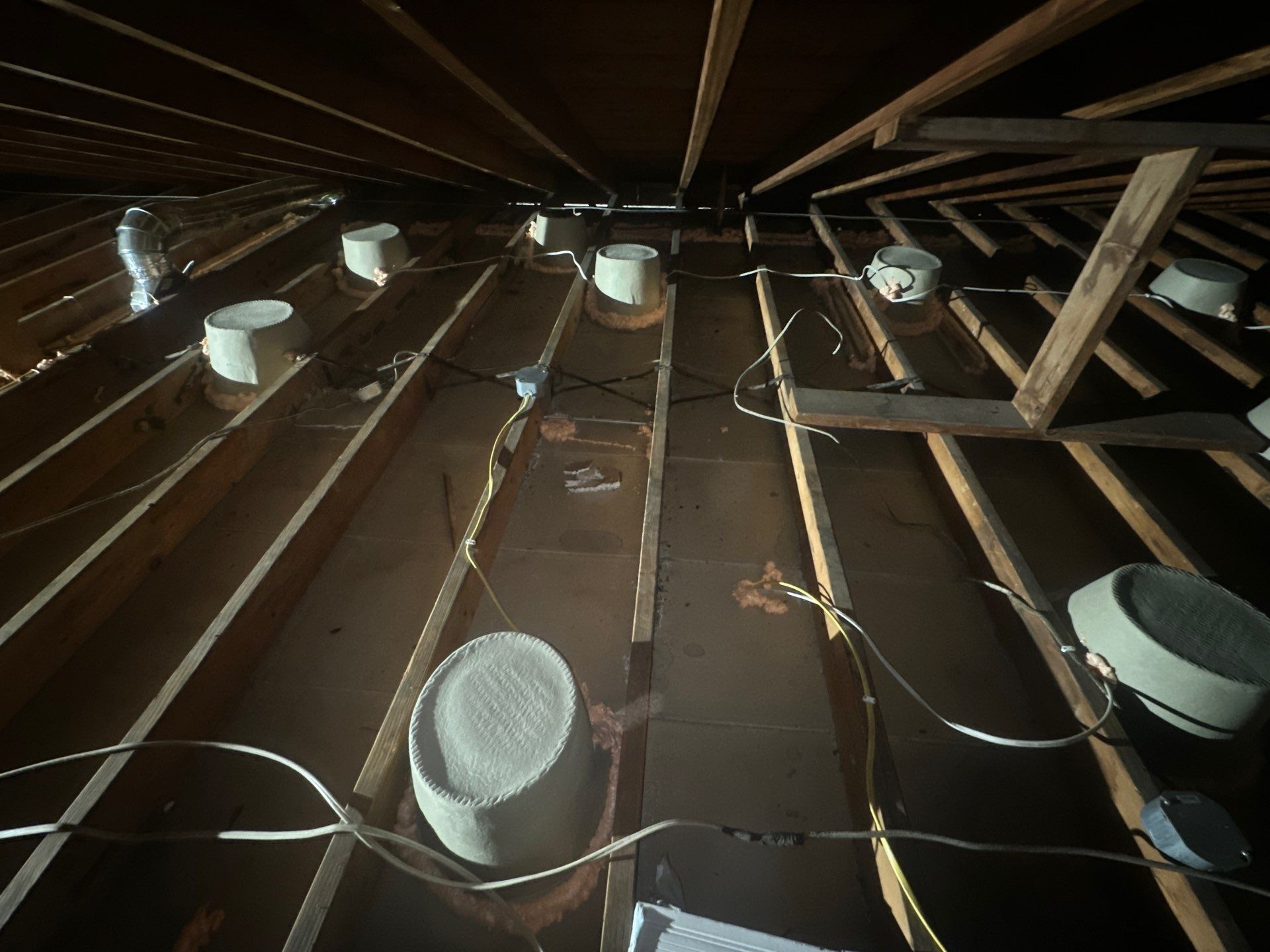 Blown-In Attic Insulation and Rodent Remediation in Canonsburg by Home Environment Solutions