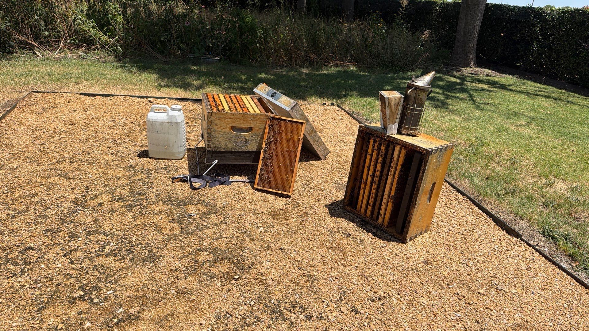 Project in Dallas, TX by Rockwall Honey Bee Company
