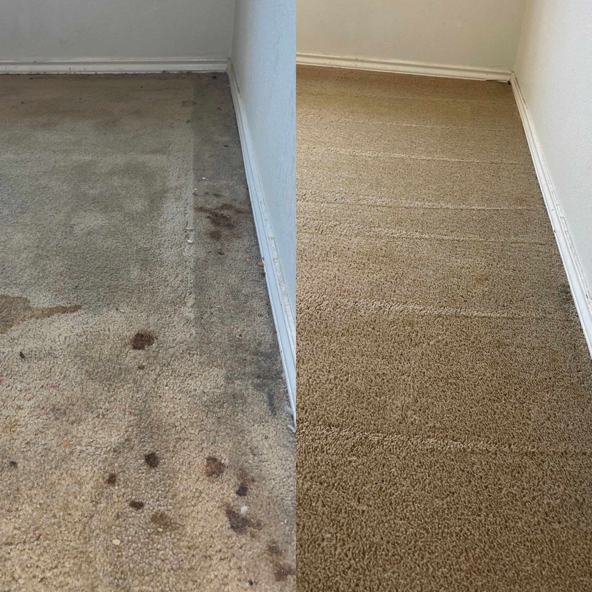 carpet cleaning service removing stains and dirt from dirty carpet to make it look clean and fresh