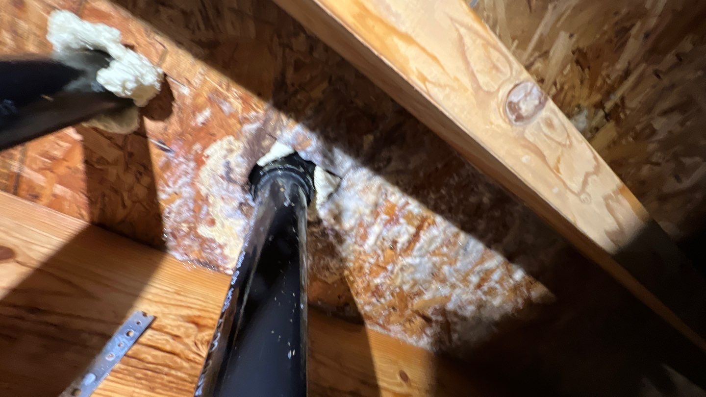 Mold Damage by Accountable Home Services