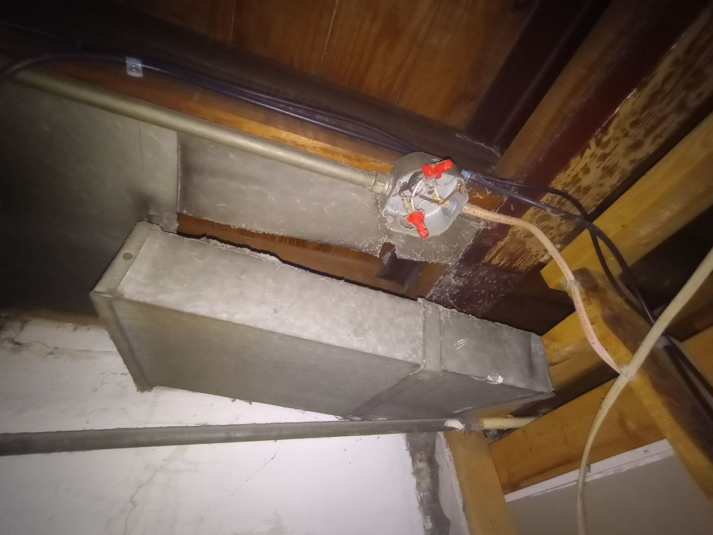 Mold Removal in Louisville, KY by ANR Restoration