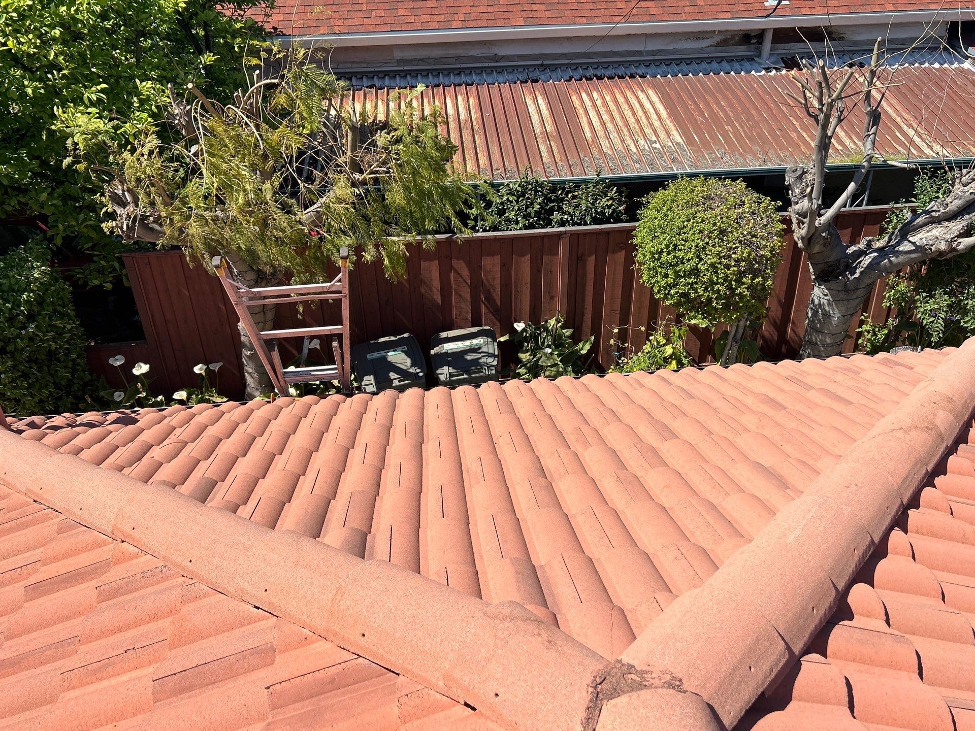 Roof Cleaning-Insurance Renewal by All One Solar Shine