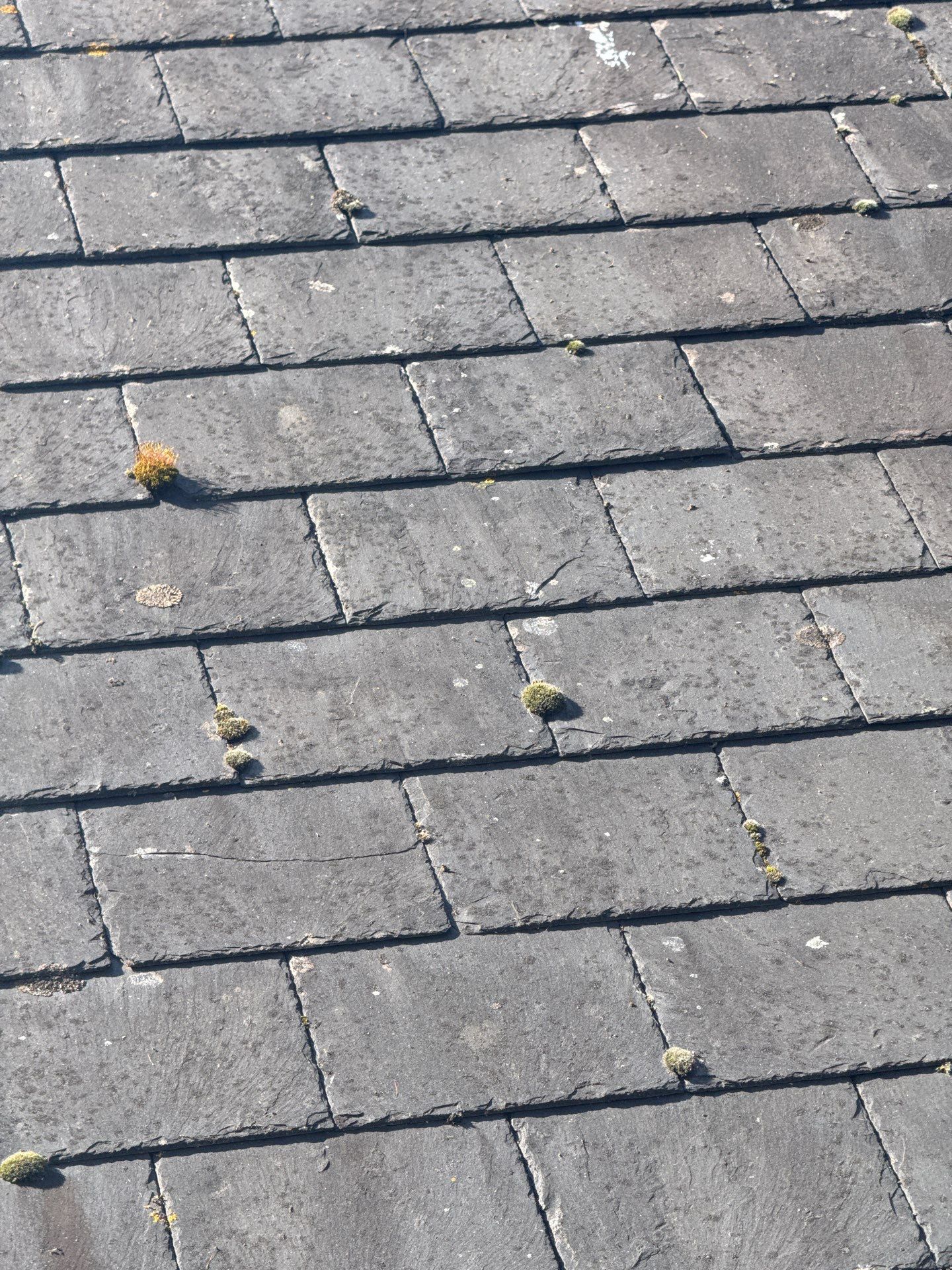 Render and Roof clean using Softwash Equipment by Ges Exterior Cleaning ltd