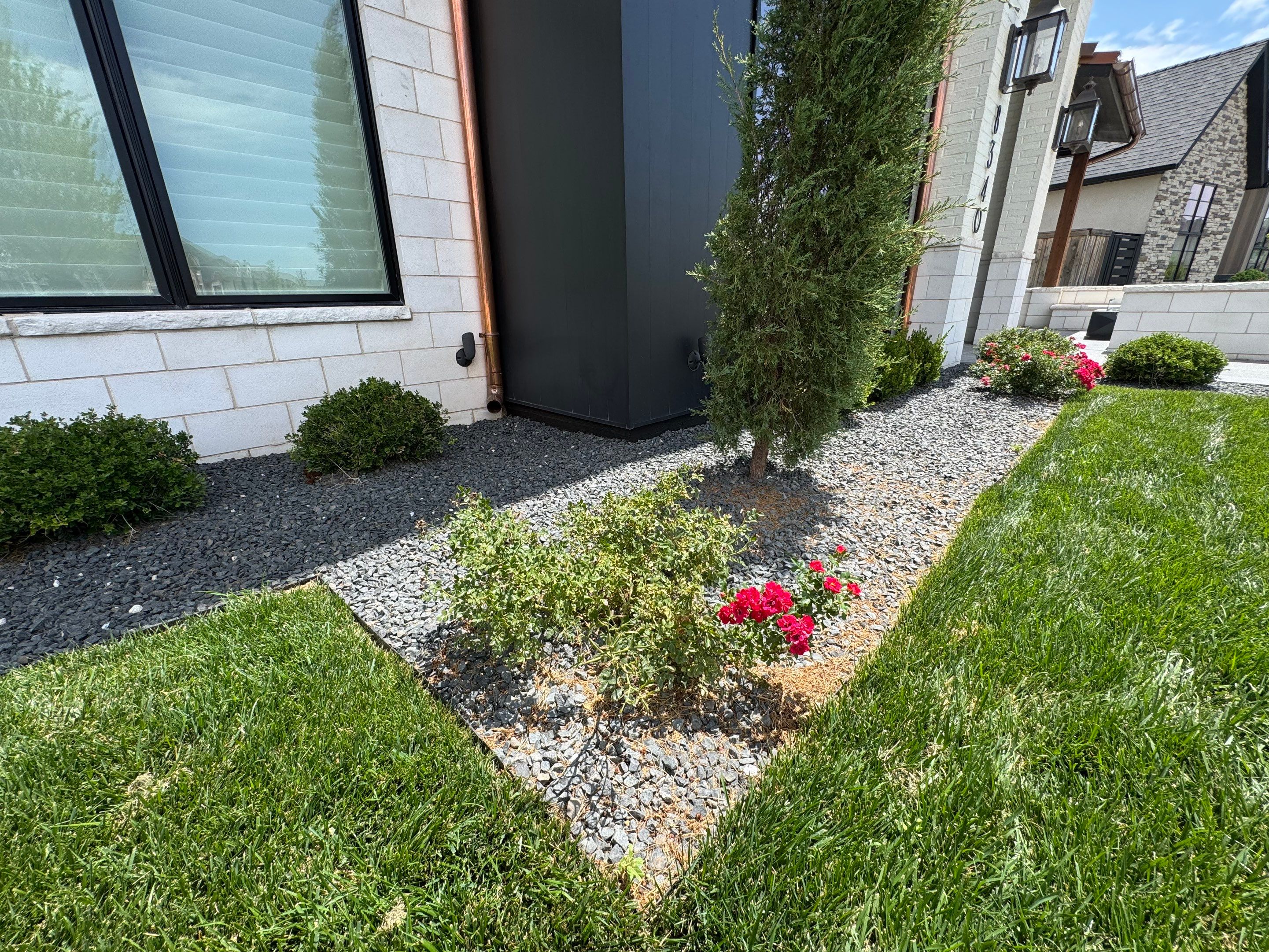 8340 Continental-Pool & Landscape by Spanky’s Landscape
