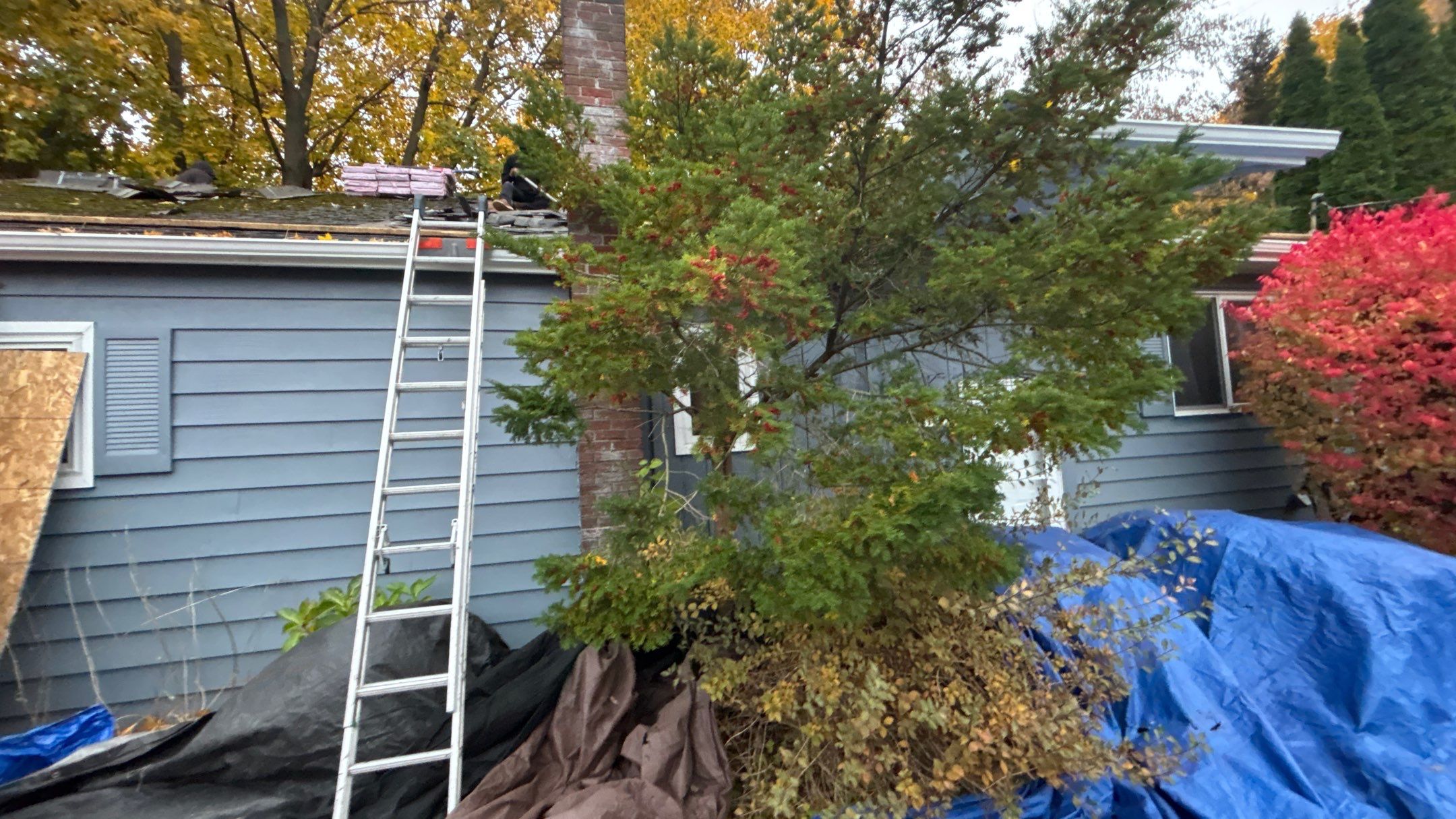Roof Replacement using Owens Corning Midnight Plum by 180 Contractors