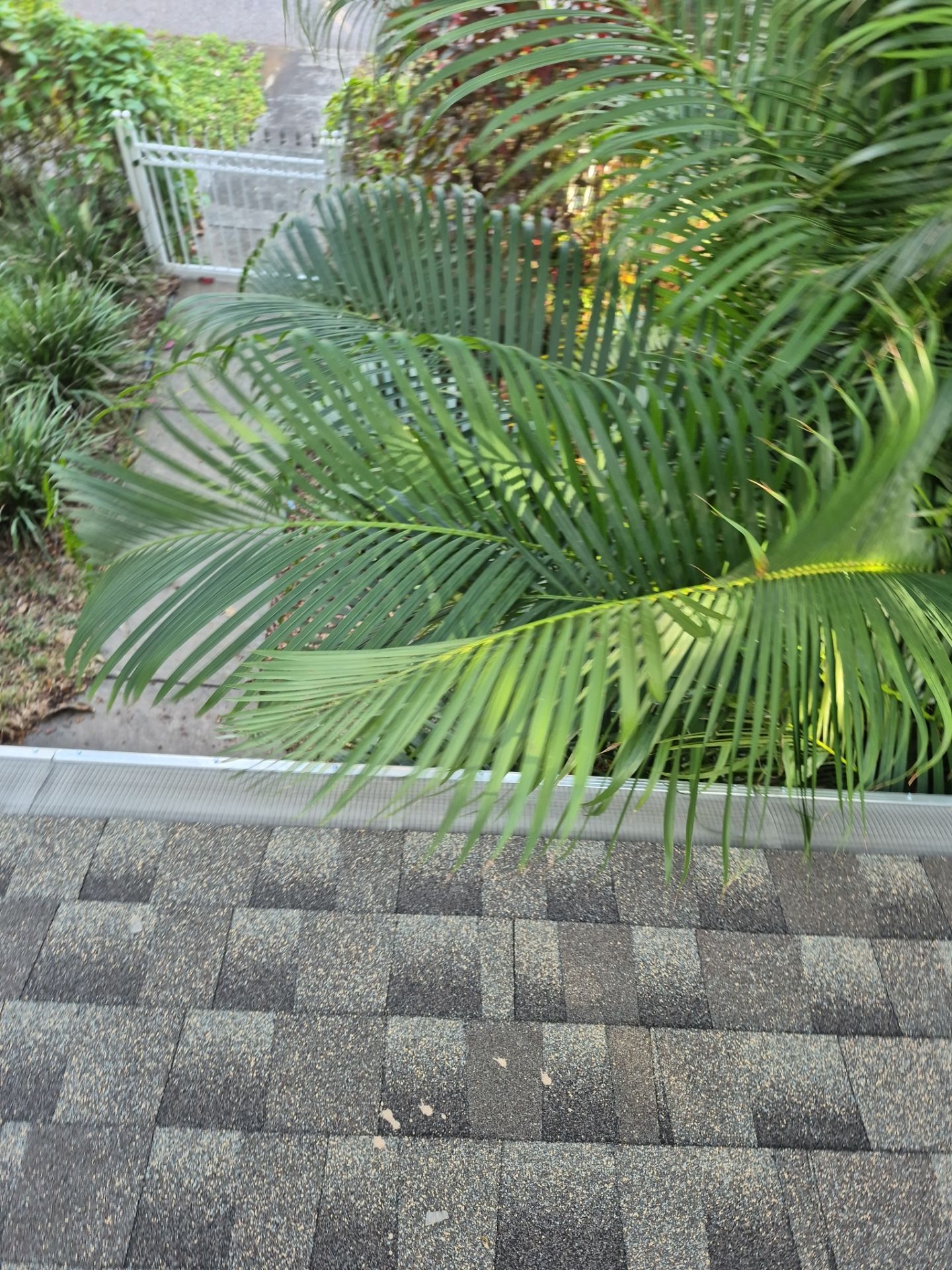 Project in St. Petersburg 33713 by Mitchell Roofing Company LLC 
