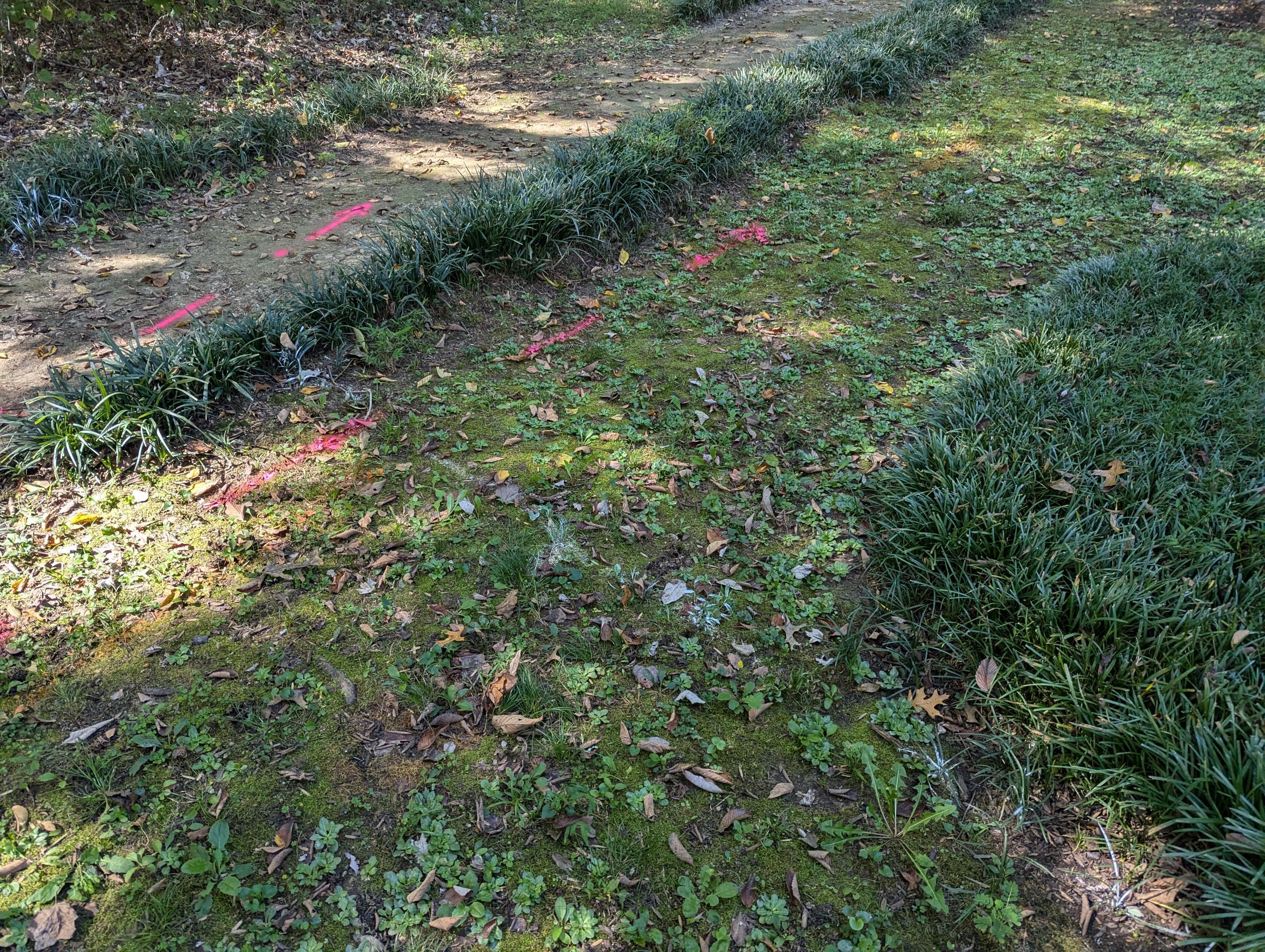 Utility Locating Services / GPR Request by Alsip Locating Service, LLC