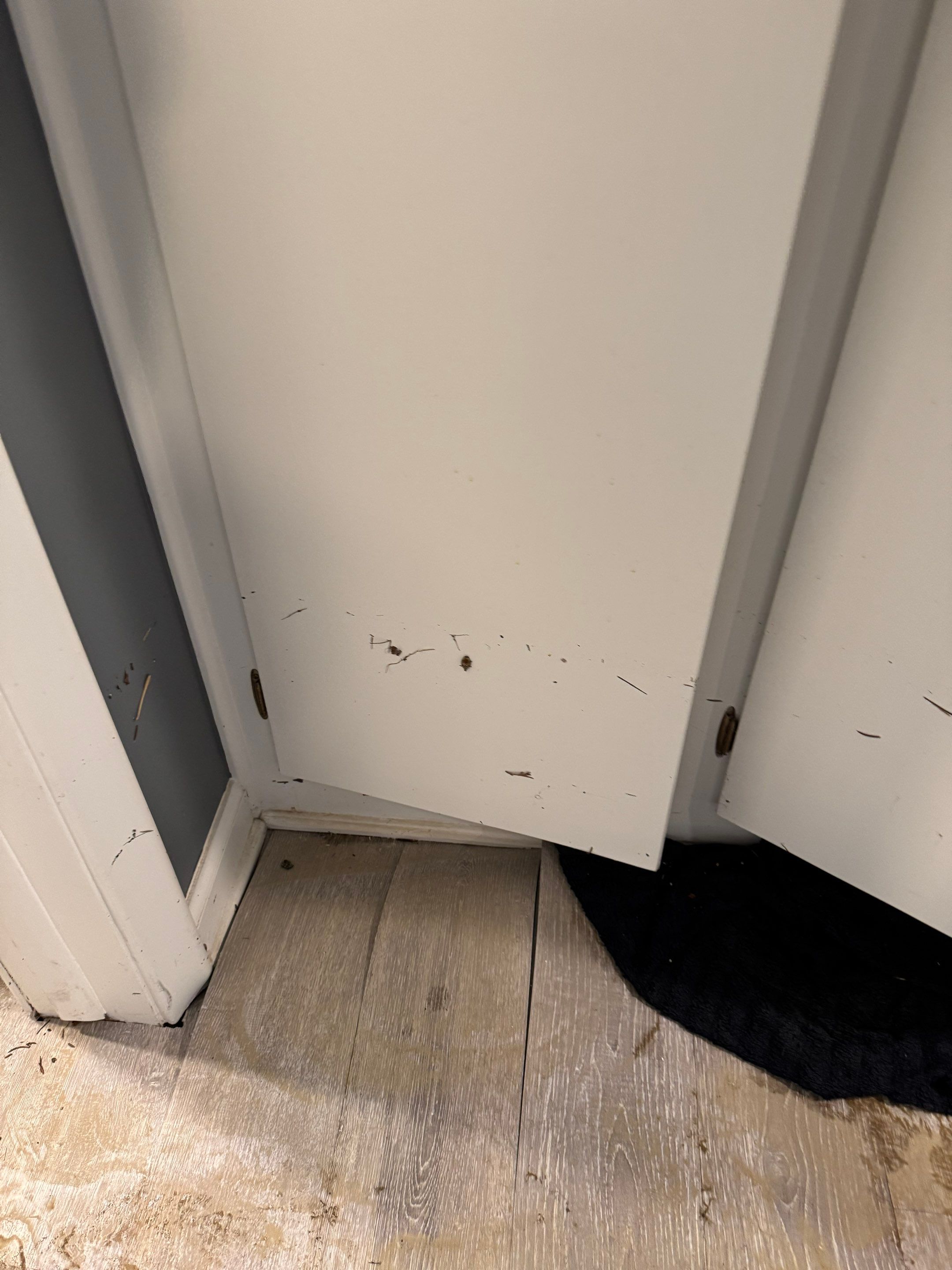 Project in Beverly Hills by EzDry Water Mitigation & Property Restoration