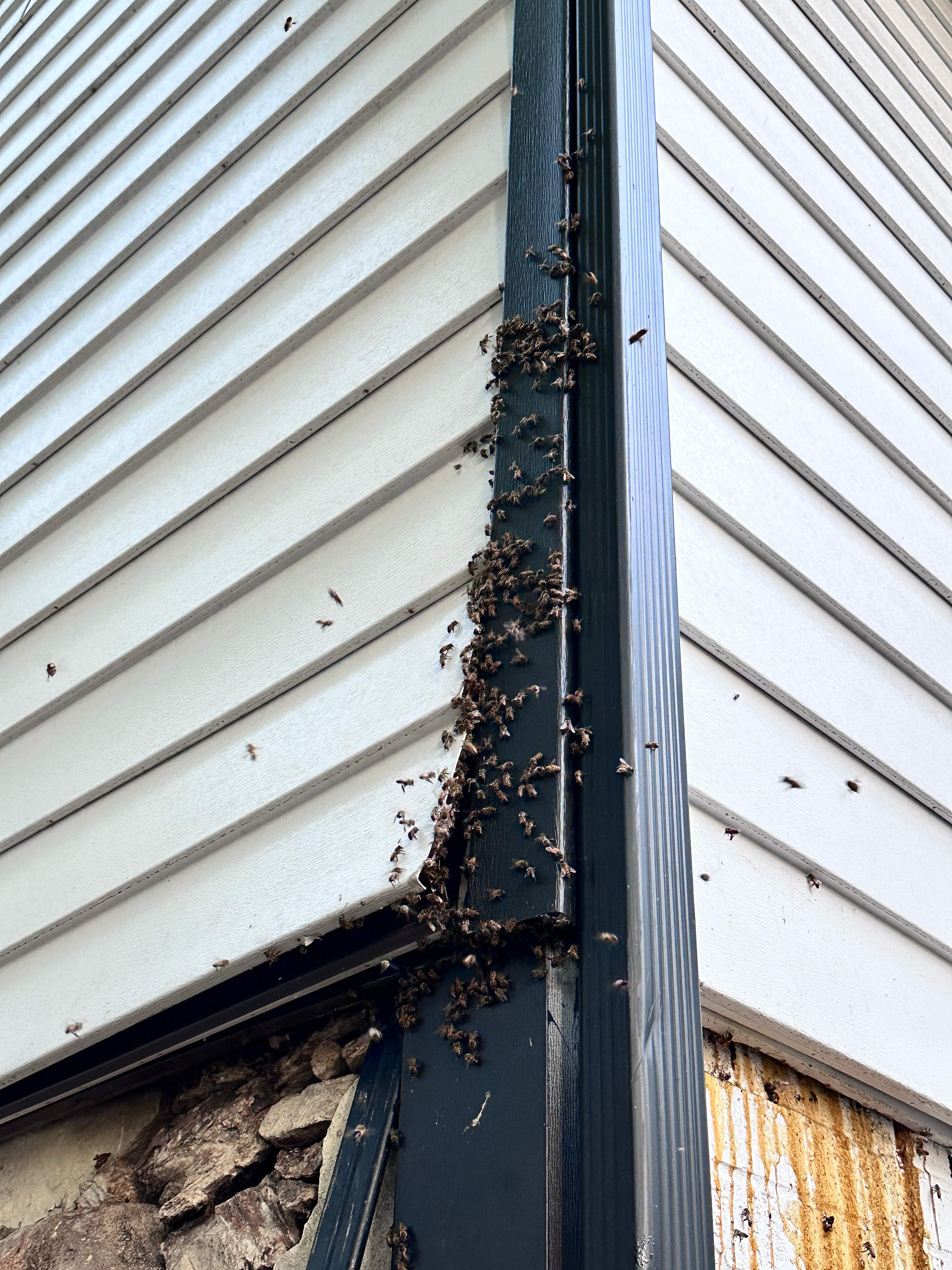 Hidden Garage by Rockwall Honey Bee Company