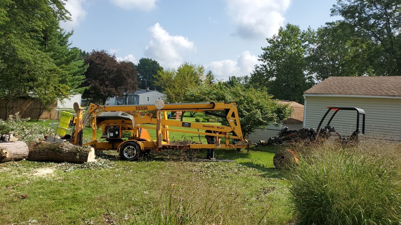 Tree Removal by Mike Jones & Sons Tree Service LLC 