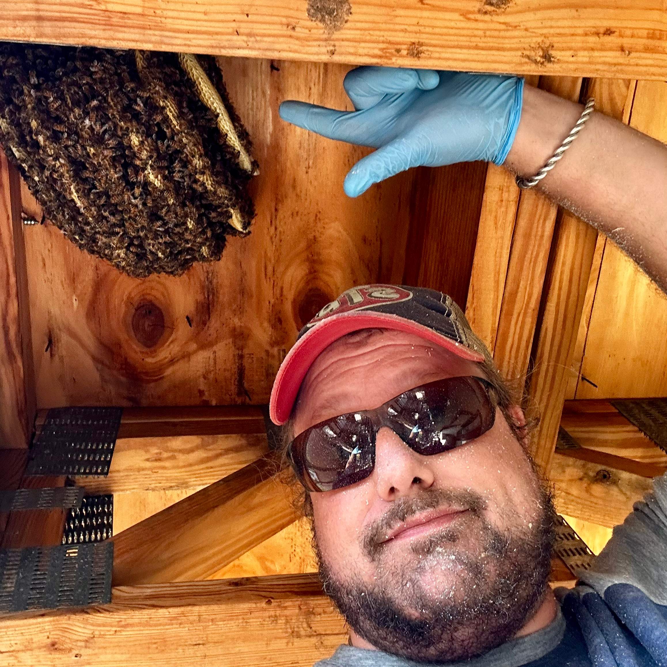 Final Beauty of 2024 by Rockwall Honey Bee Company