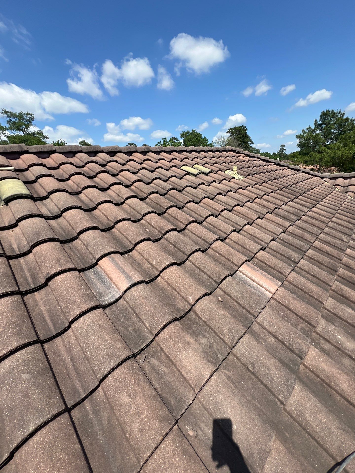 Roof Repair Spring by Roof Repair Company