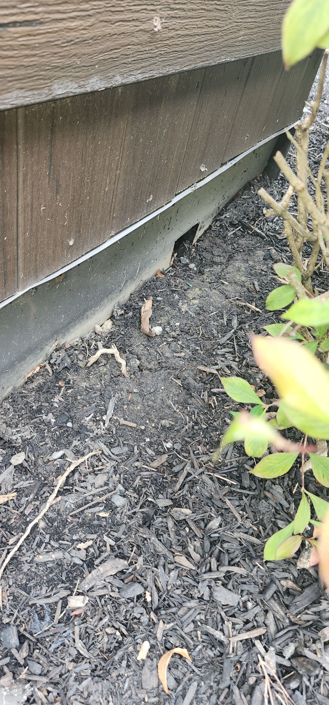 Exterior Shallow System by Toledo Basement Repair