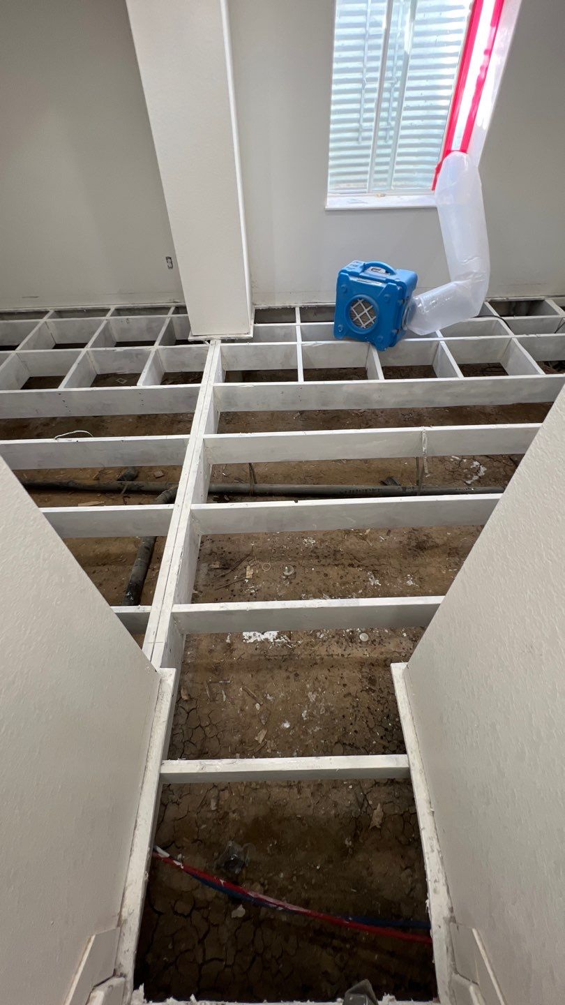 Mold Remediation by Accountable Home Services