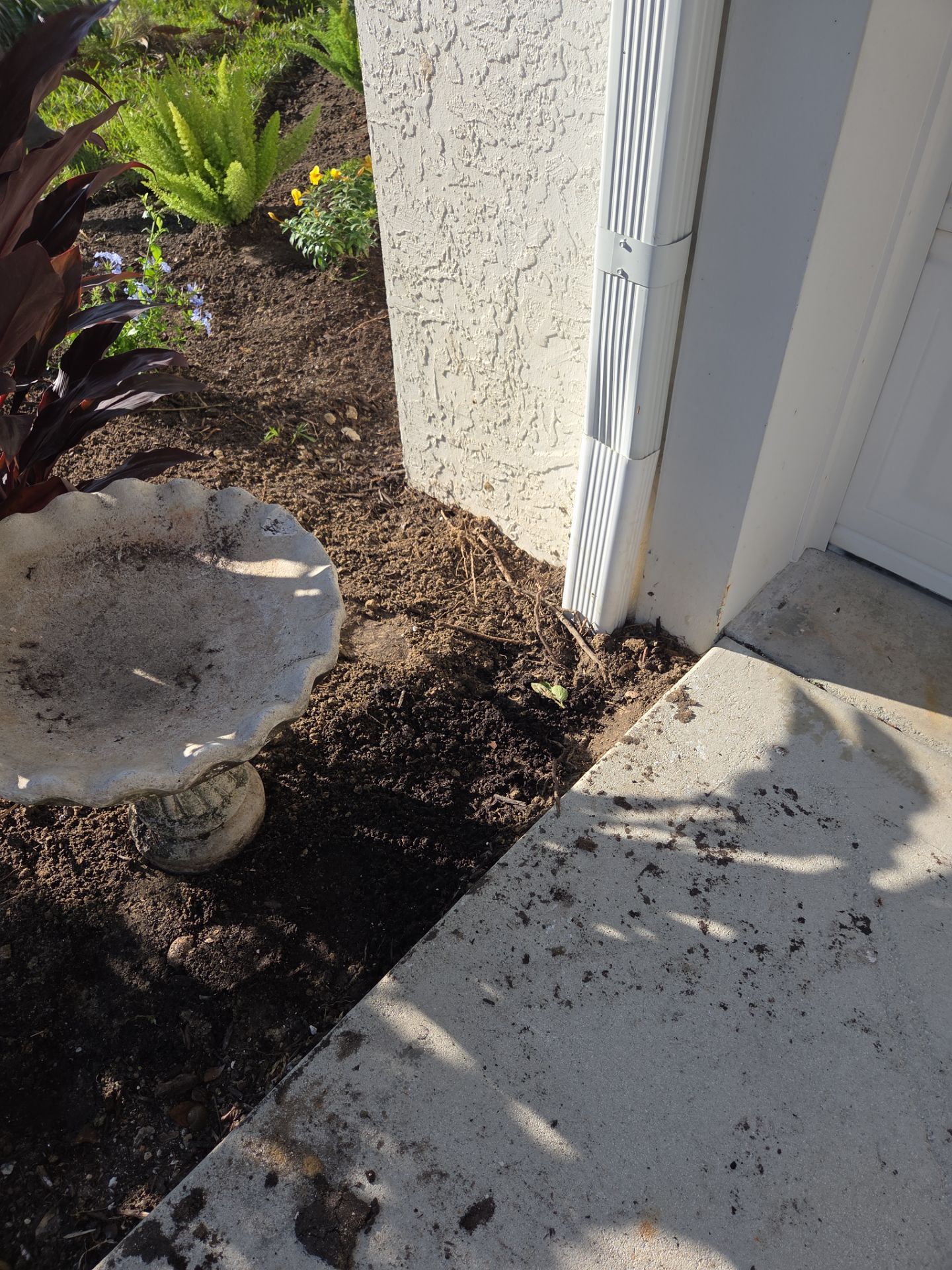 🌴 Landscape Removal and Install in Palm City by Alpha Zeta Enterprises Inc