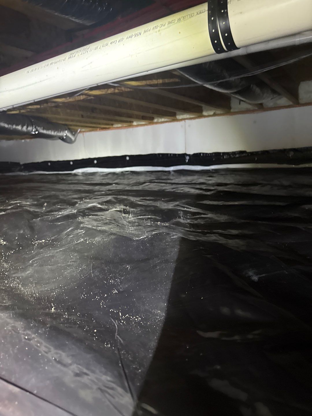 Bathroom and Crawlspace Water Damage and Mold by Healthy Home Solutions