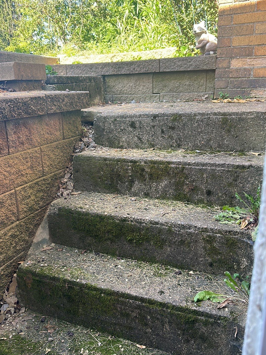 Basement, Bar & Laundry area  by Floors in a Day, Inc