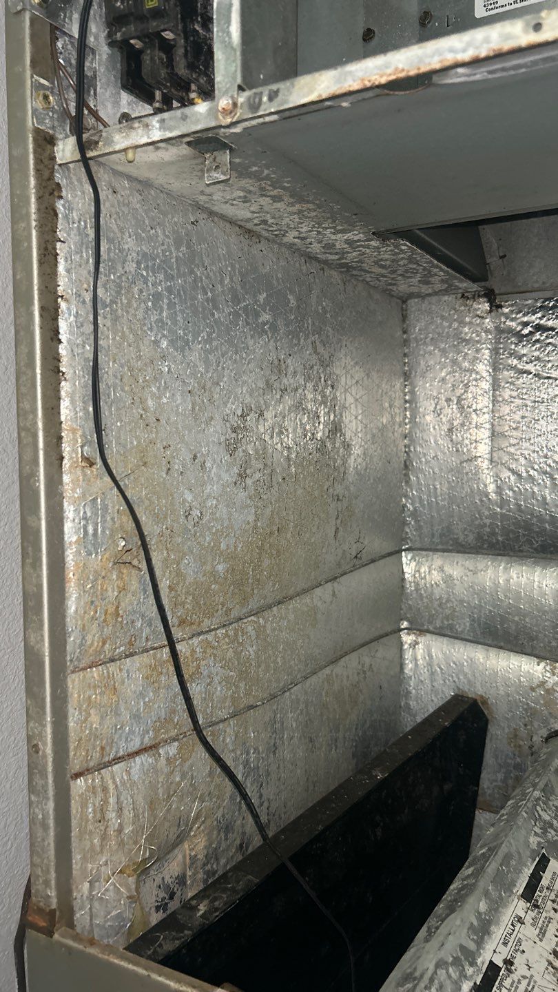 Air Duct Cleaning in Clermont by Hygienic Air, Inc