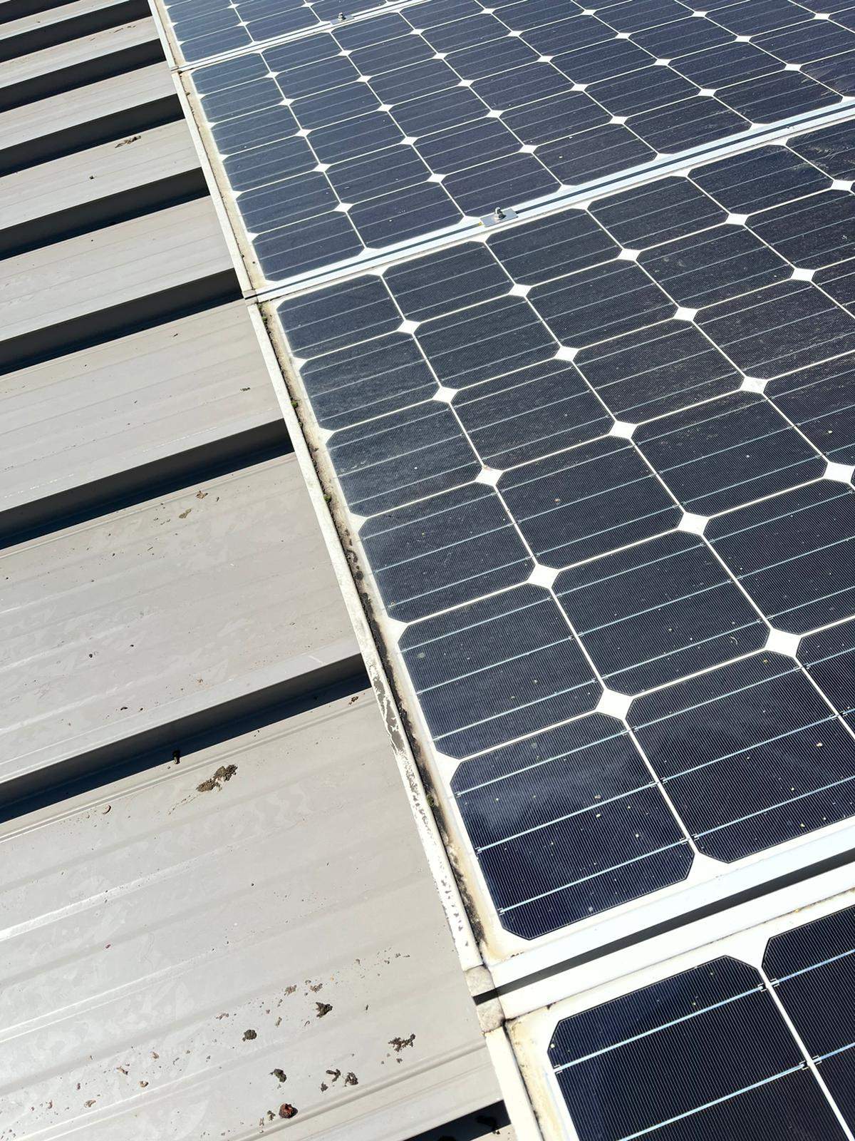 Los Alots Commercial Solar Panel Cleaning by All One Solar Shine