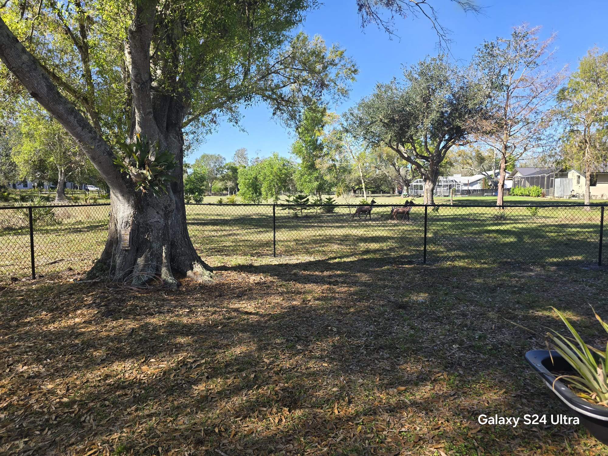 Black Chain Link Fence Installation in Port Charlotte by True Fence LLC