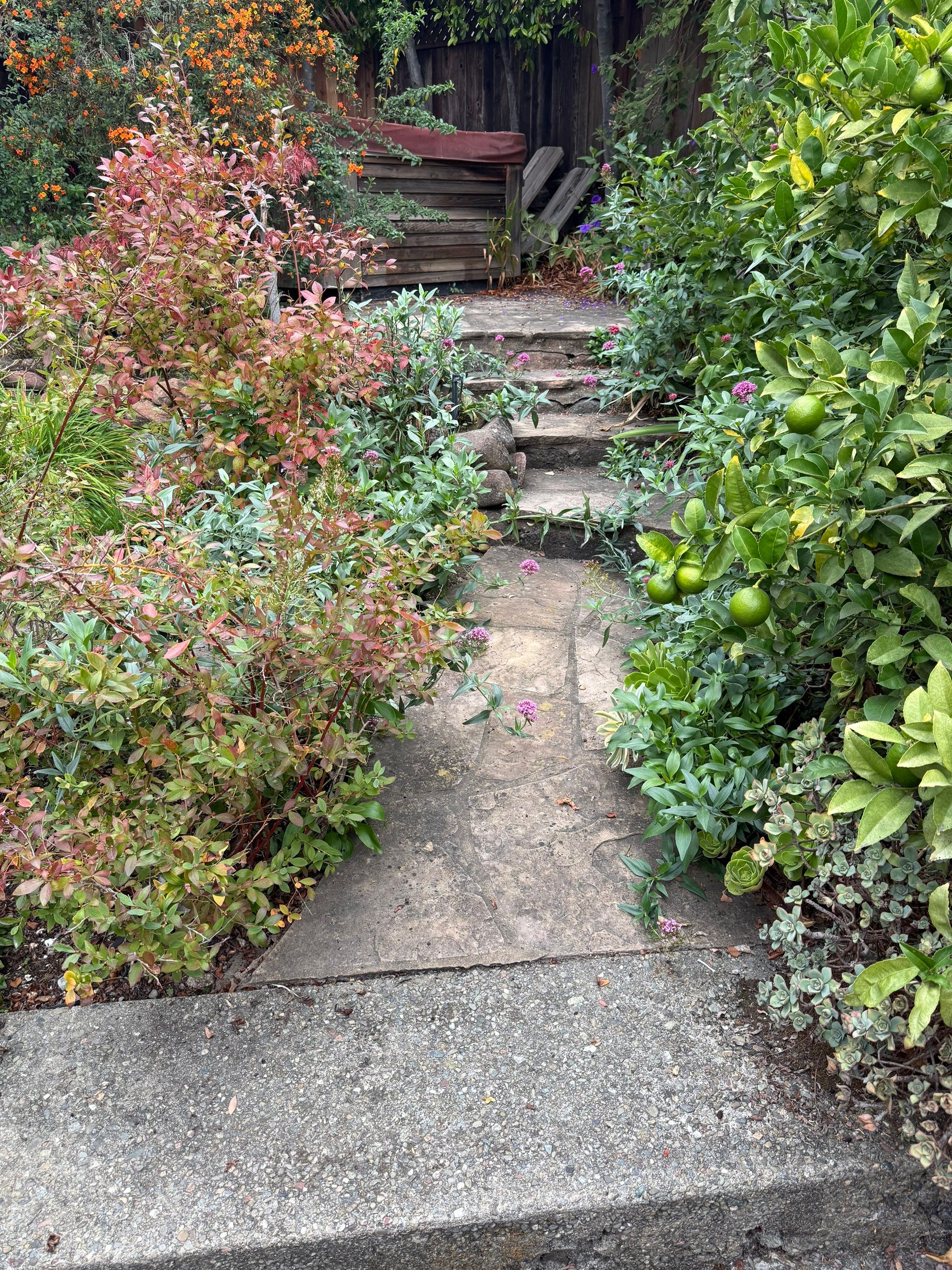 Full back garden refresh by SpotFree Window Cleaning