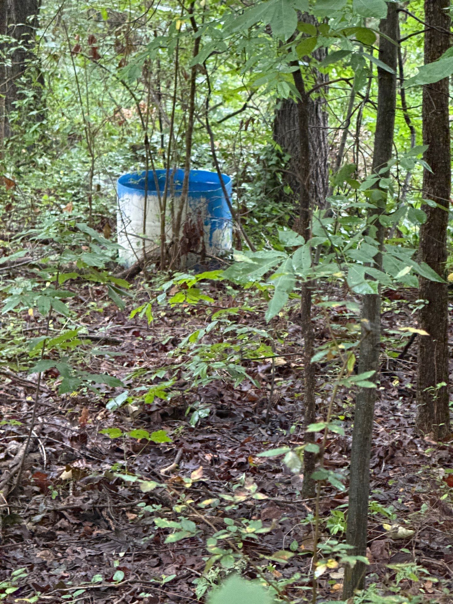 Project in Indian Trail by Badger Hauling