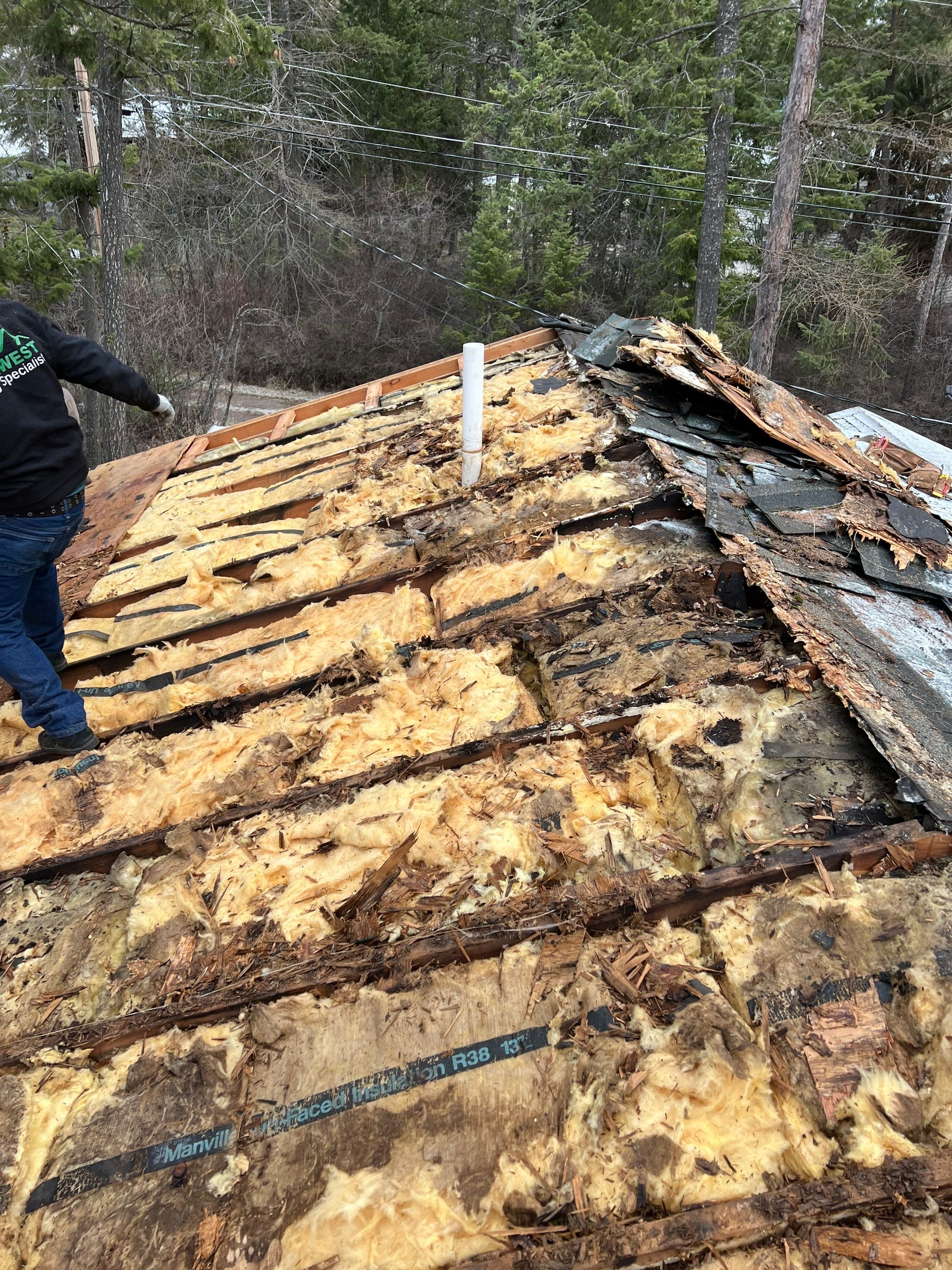 GAF Timberline HDZ - Hunter Green by Montana Roofing Solutions