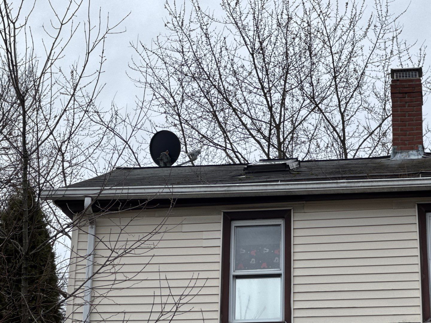 Full Roof Replacement with Skylight Removal for Winter Protection by Sensible Home Solutions