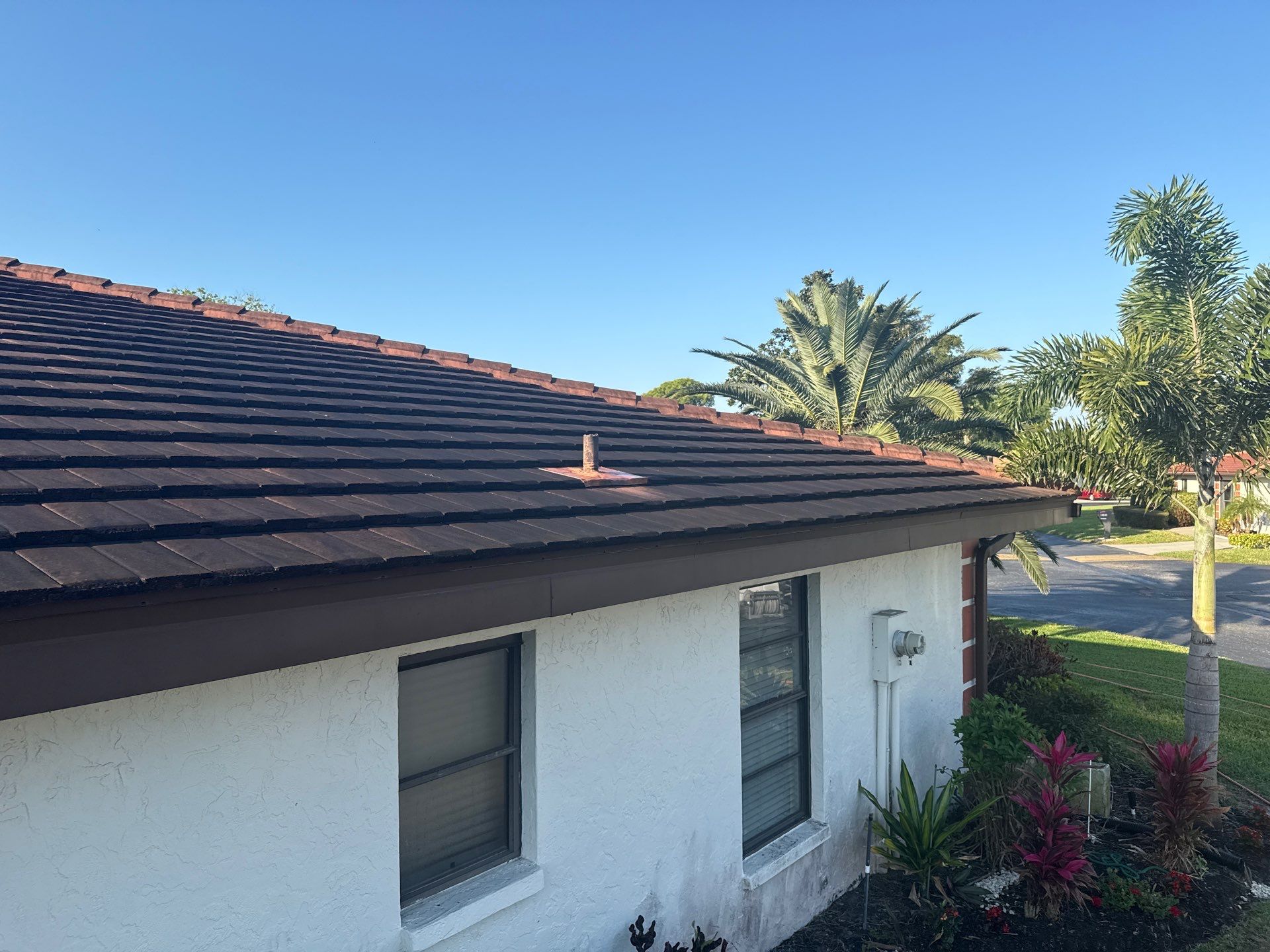 Tile Roof Cleaning – Vivenda at Bradenton I (5-Star Review & Plant Protection) by Sunshine AquaWash