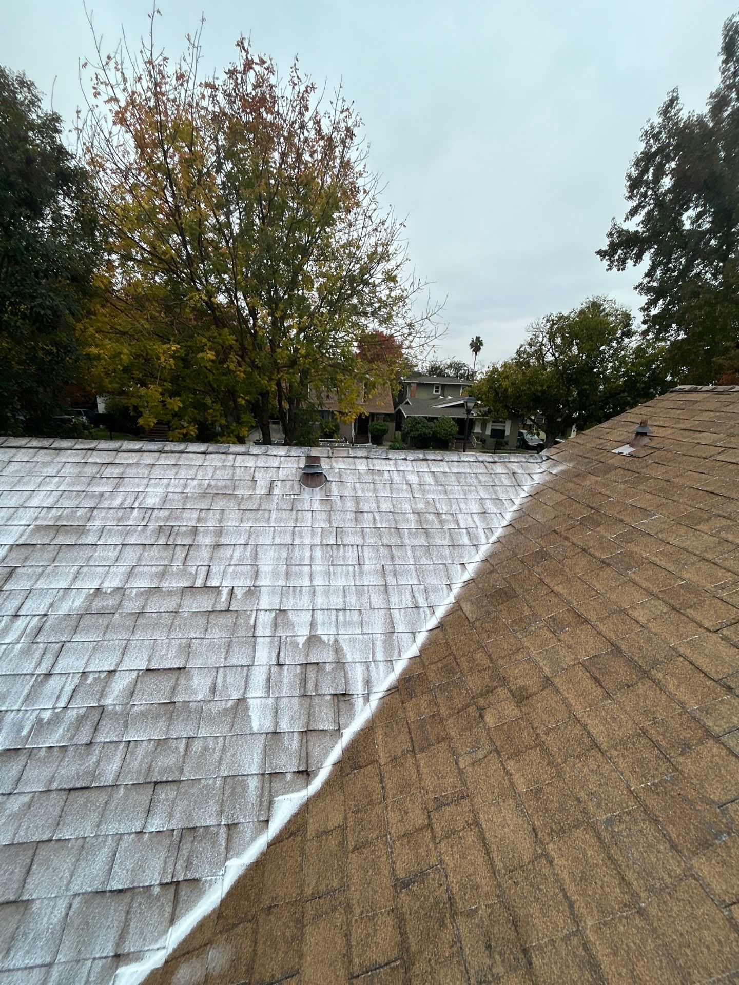 Roof Rejuvenation using Roof Maxx Treatment by Roof Maxx of Folsom