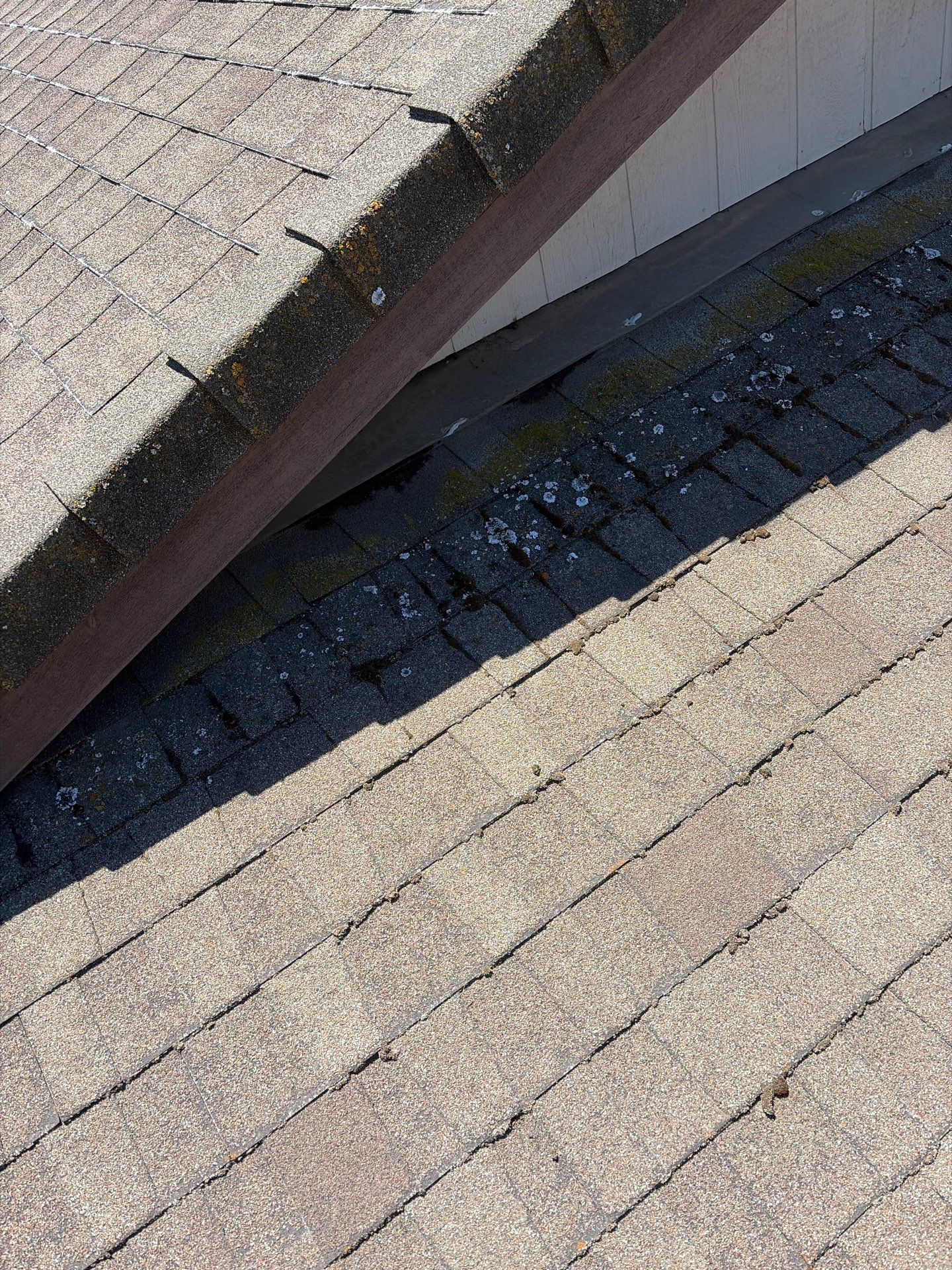Roof Rejuvenation using Roof Maxx Treatment by Roof Maxx of Folsom