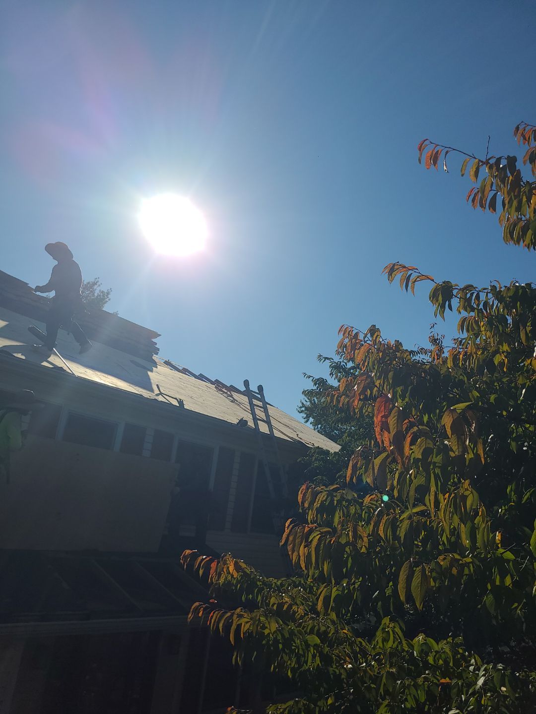 Sterling: Residential Roof Replacement with CertainTeed Landmark Pro Designer Shingles in Max Def Mojave Tan by RM Banning, Inc.